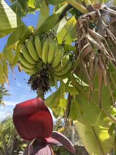 $1,549,900 | 3722 Sandpoint Court, Carlsbad, CA 92010