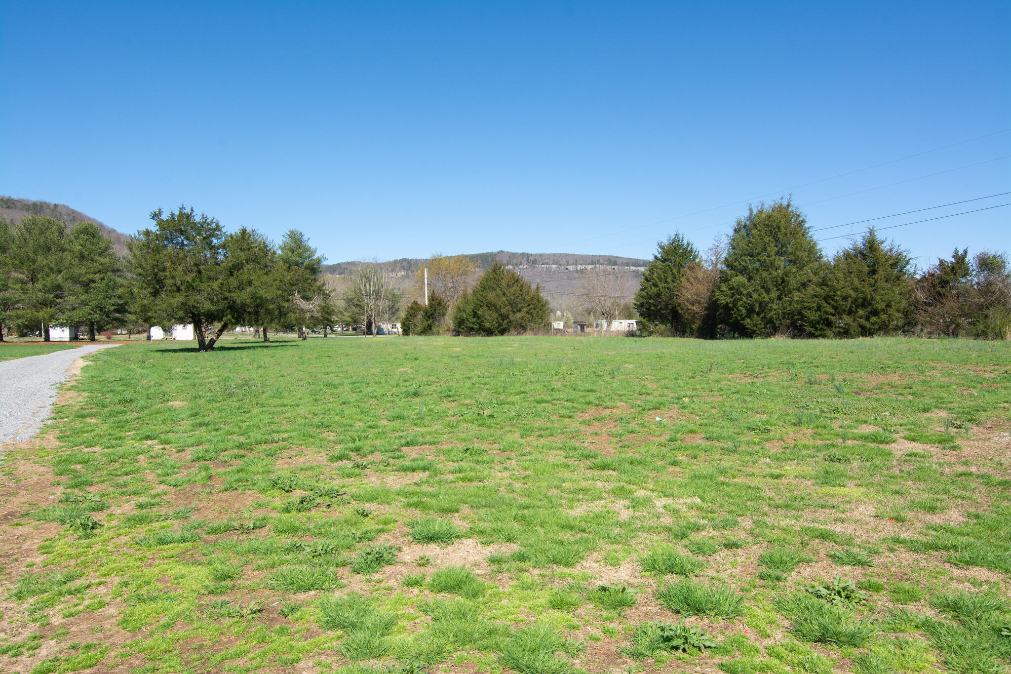 2090 West Valley Road Whitwell, TN 37397 - Photo 30 of 34 Front Yard 2