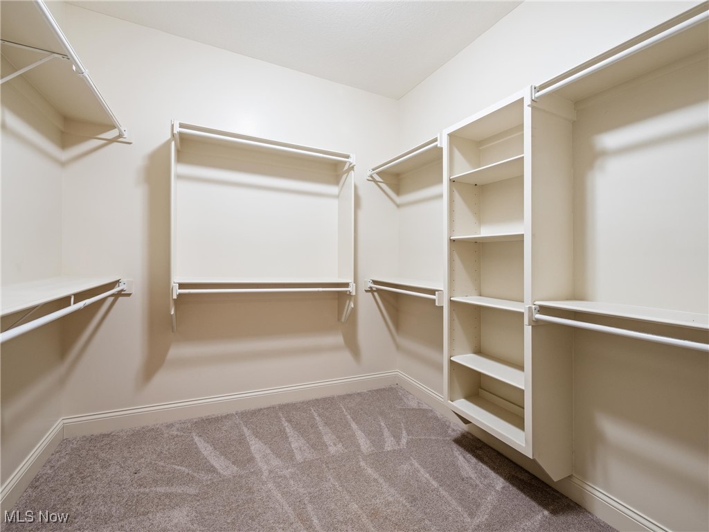5349 Slater Ridge Westerville, OH 43082 - Photo 28 of 50 Walk in closet with light carpet