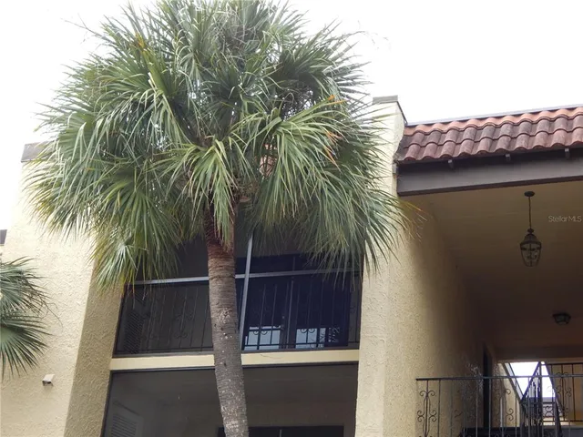$1,600 | 5306 Santa Rosa Court, Unit 342, Tampa, FL 33609