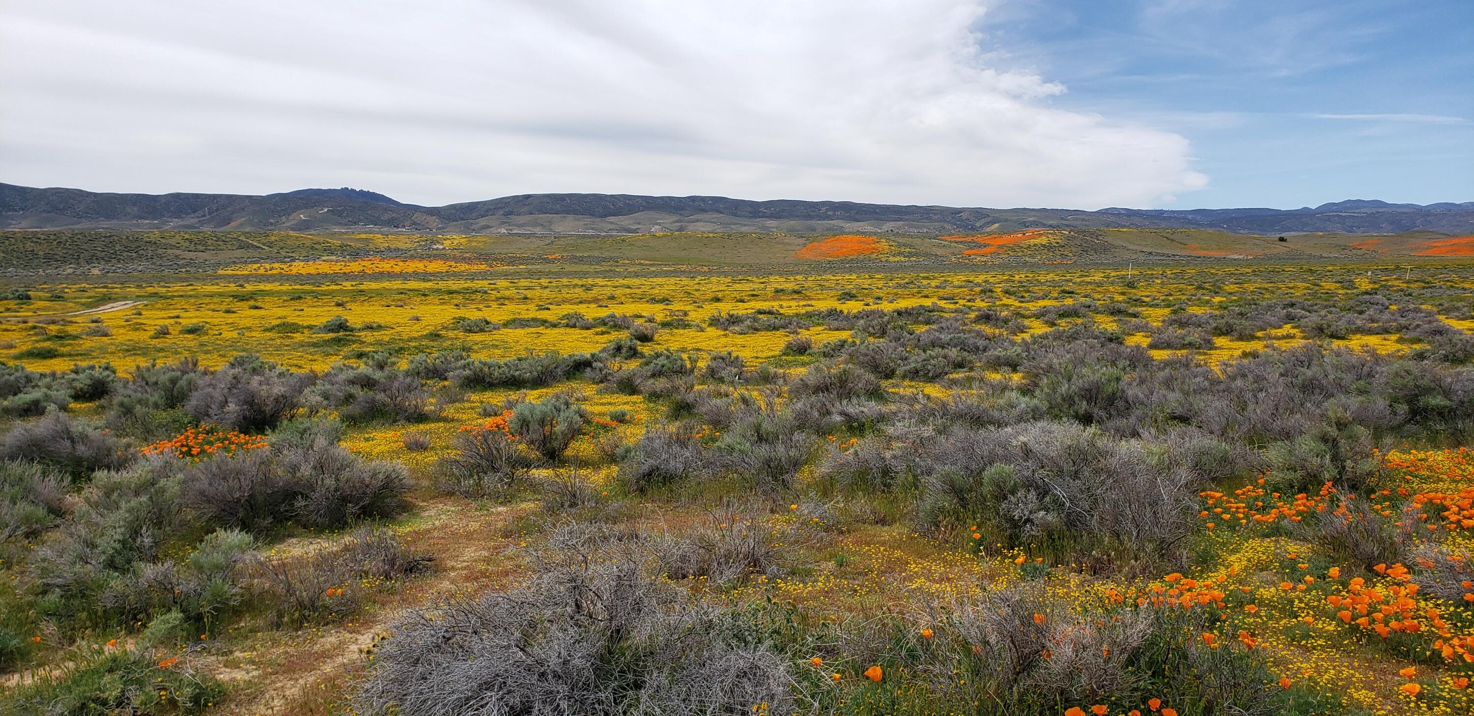 Lancaster Road West Lancaster, CA 93536 - Photo 1 of 6 a view of lake and mountain