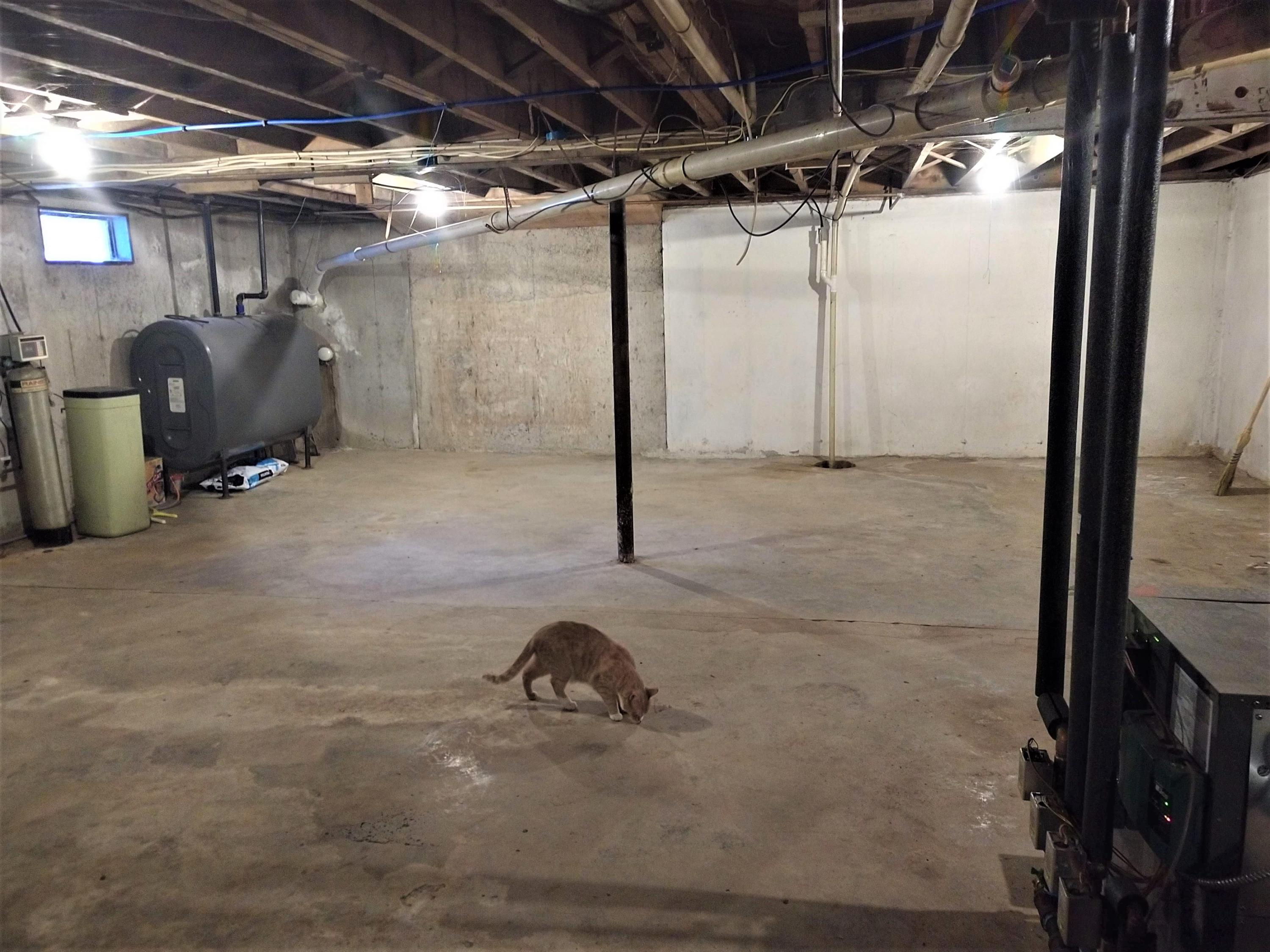 2913 Edinburg Road Old Town, ME 04468 - Photo 32 of 40 Dry Basement
