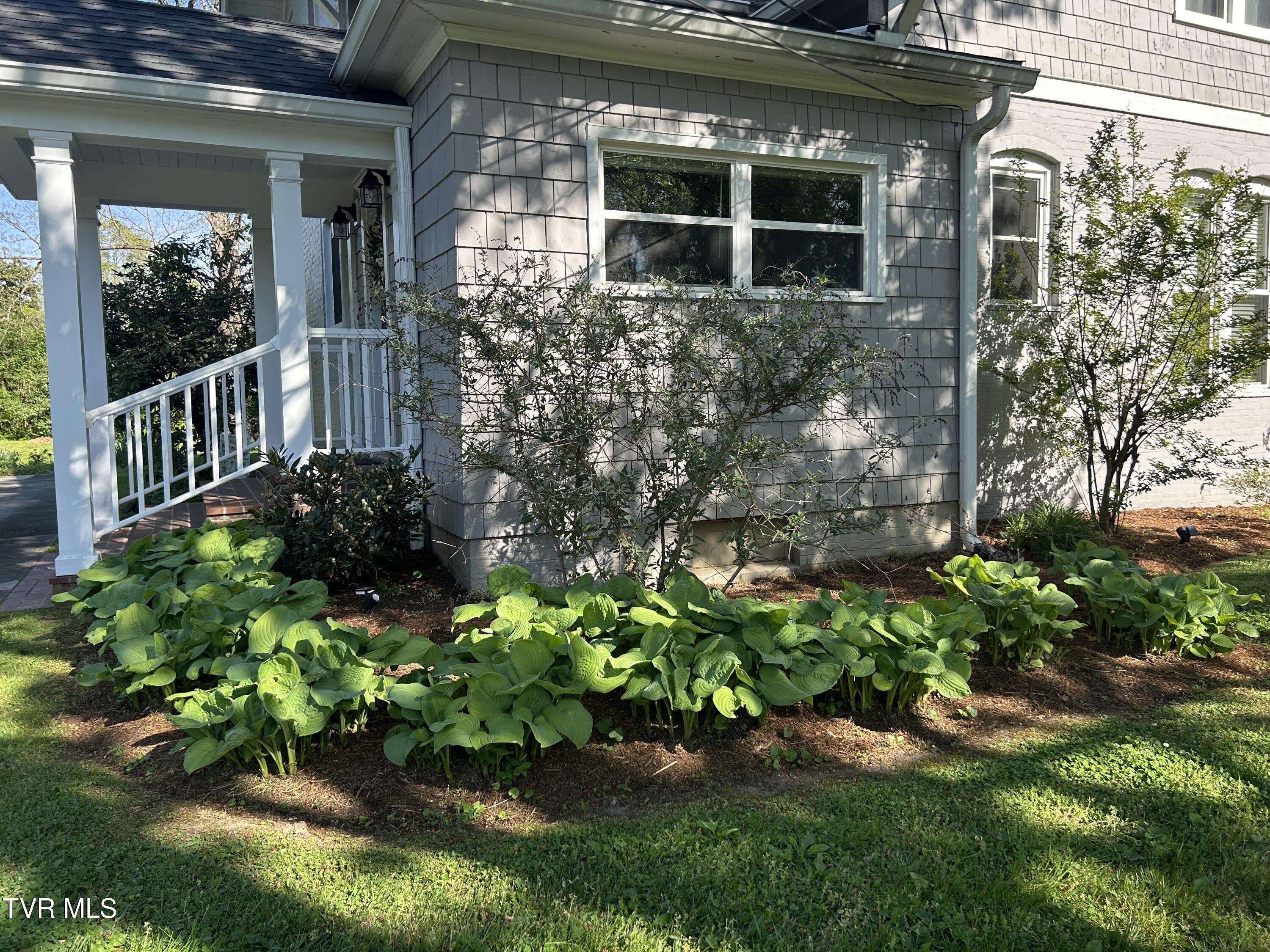 210 Clifton Heights Road Newport, TN 37821 - Photo 58 of 74 IMG_3847