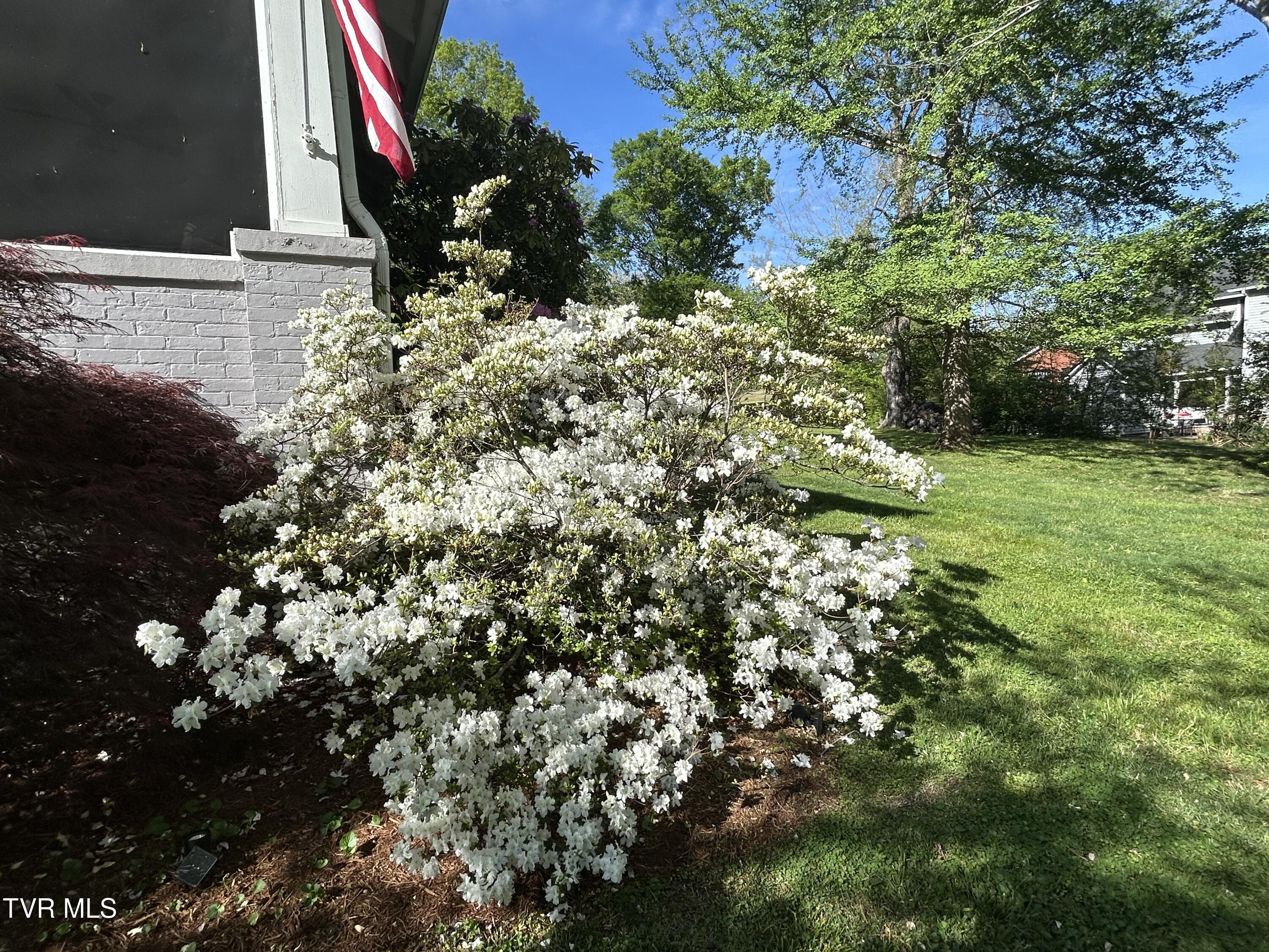 210 Clifton Heights Road Newport, TN 37821 - Photo 64 of 74 IMG_3841