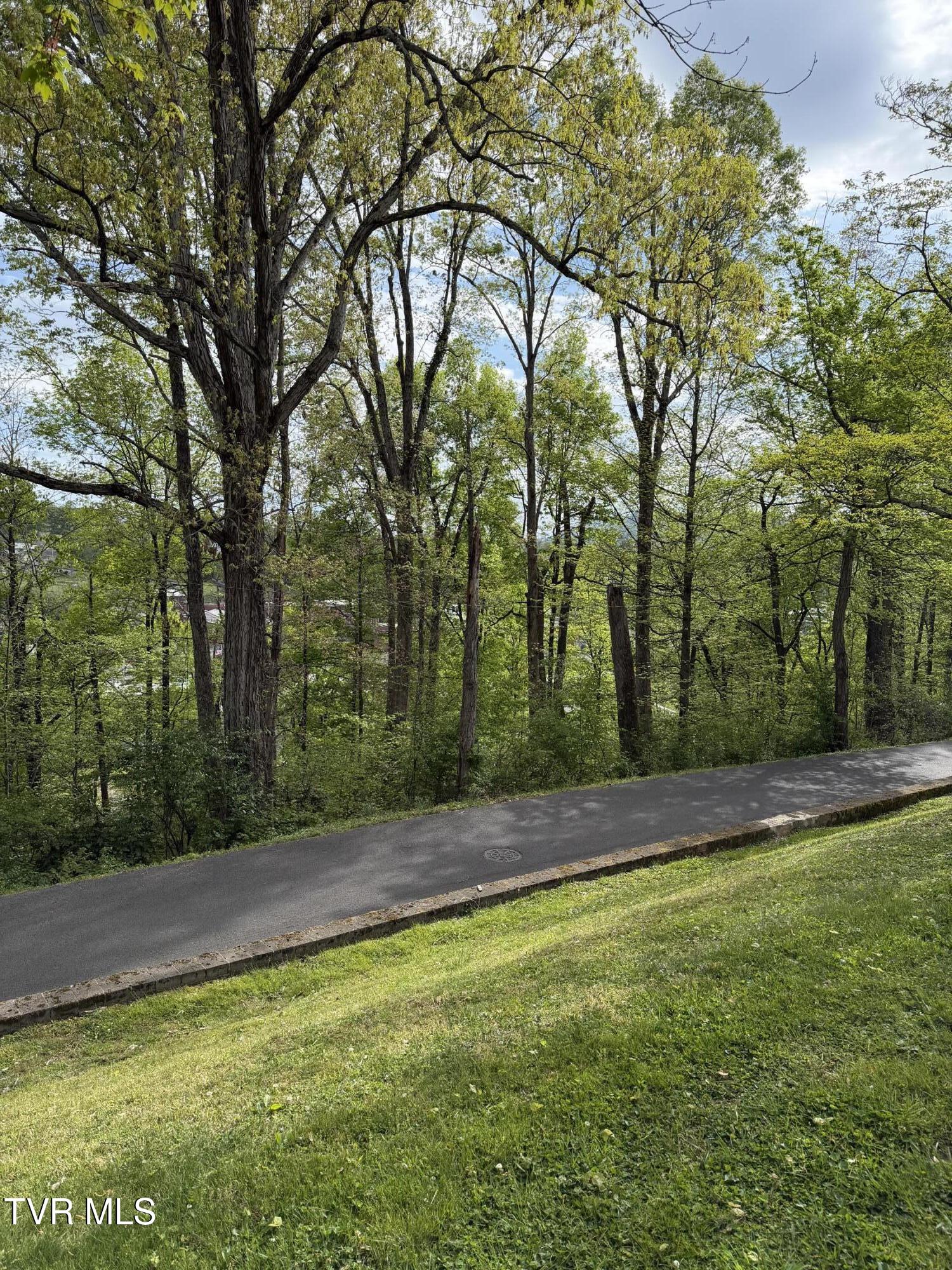 210 Clifton Heights Road Newport, TN 37821 - Photo 69 of 74 IMG_6111