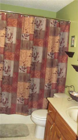 80 Maple Road Huntland, TN 37345 - Photo 7 of 12 Master bath with tub/shower combo.
