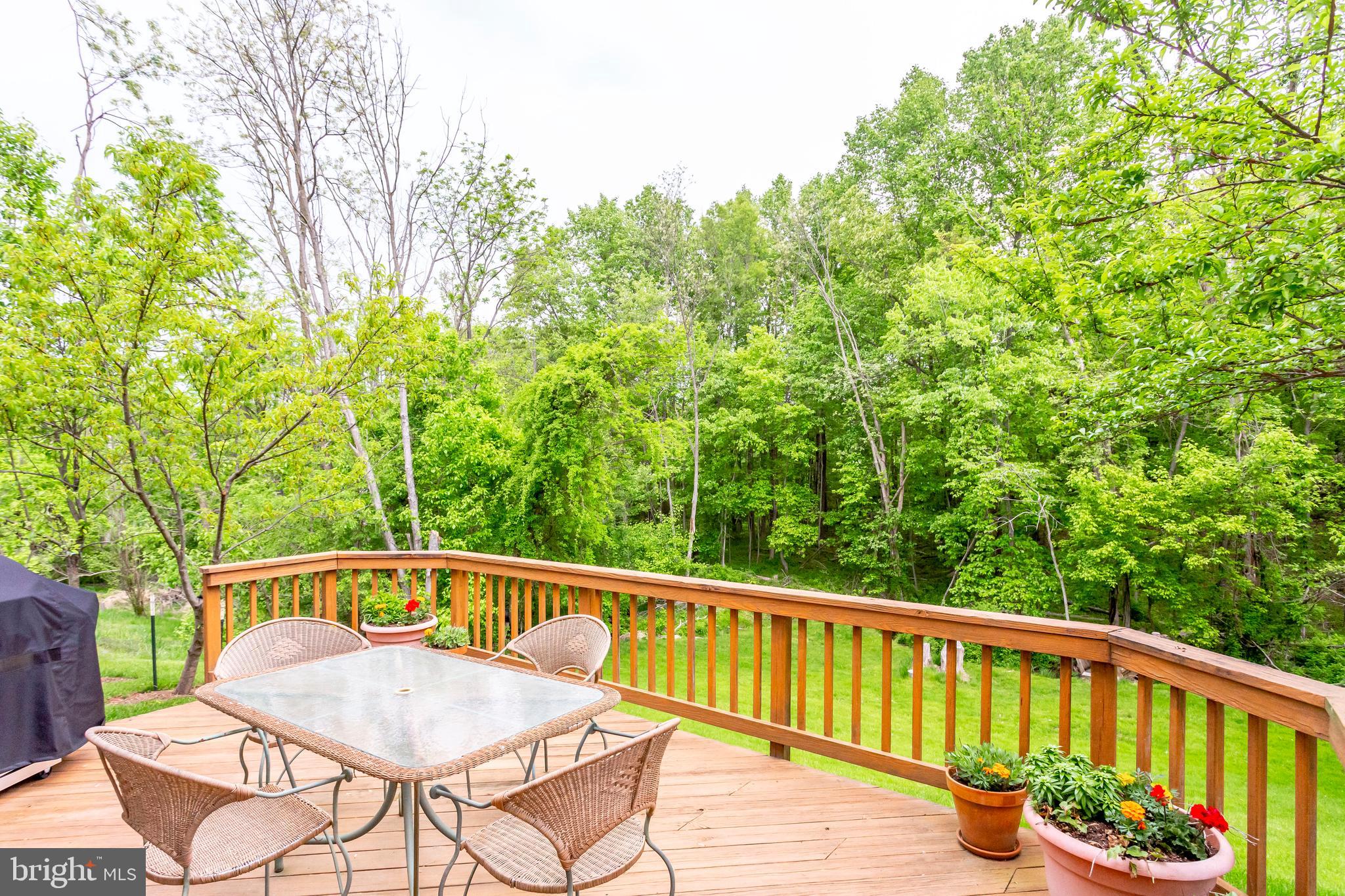 13203 Jasper Road Fairfax, VA 22033 - Photo 36 of 38 Relaxing Deck Backing to Trees