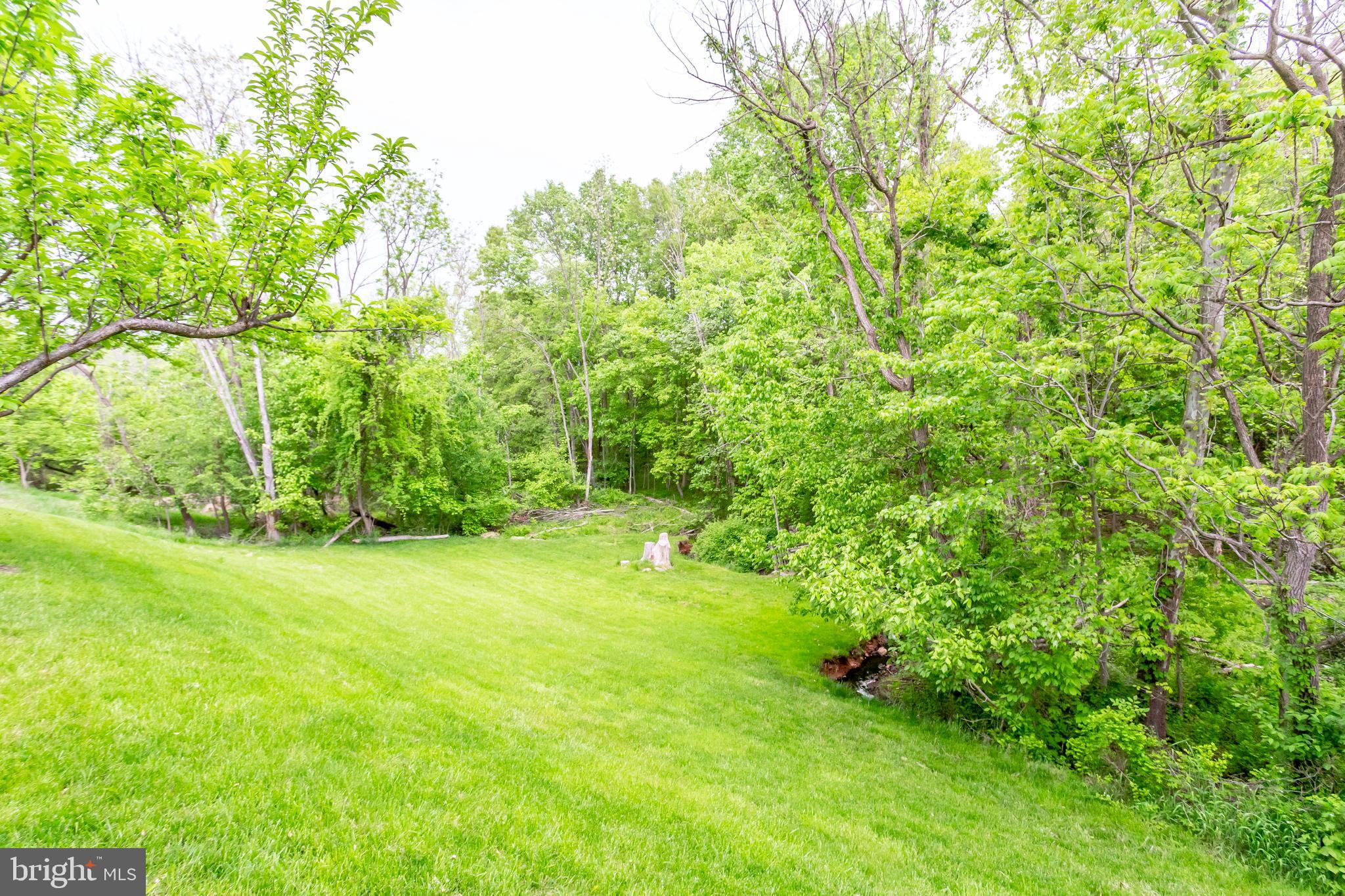 13203 Jasper Road Fairfax, VA 22033 - Photo 38 of 38 Huge Backyard
