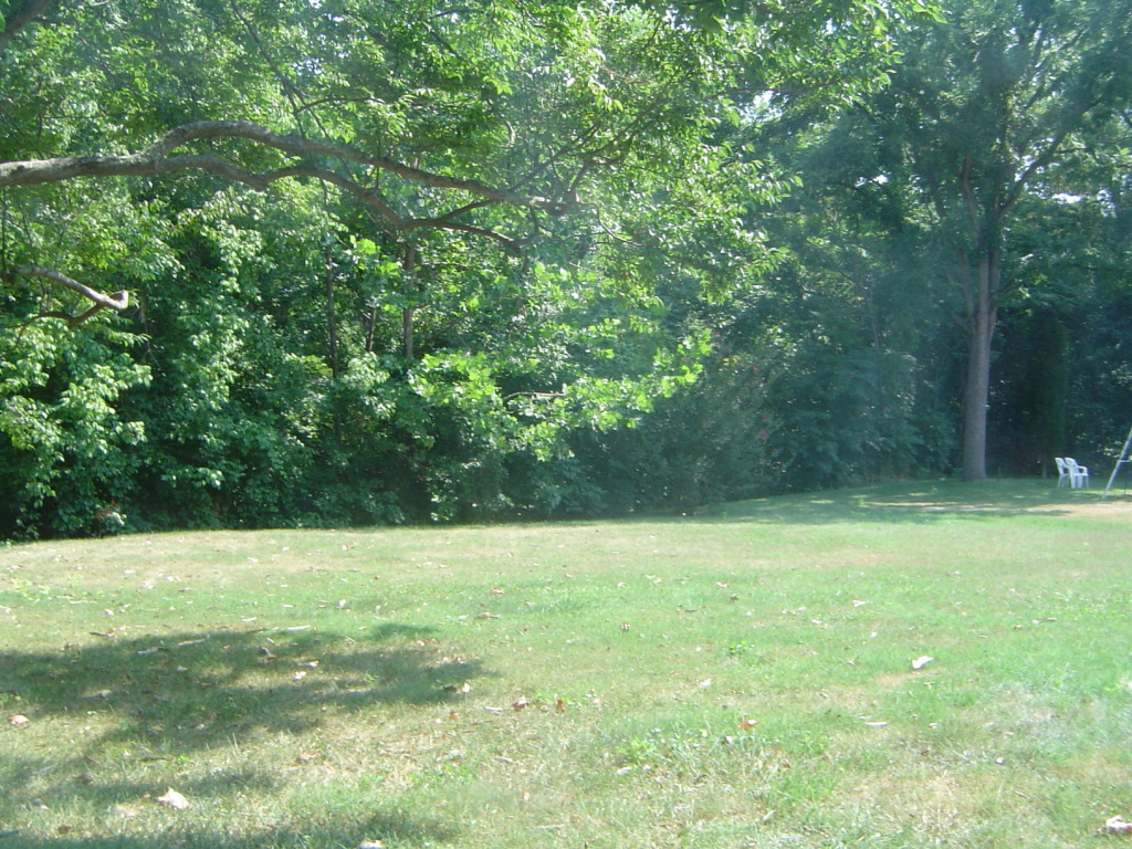 2133 Meadowbrook Road Northwest Roanoke, VA 24017 - Photo 19 of 20 a view of a field with a trees in the background