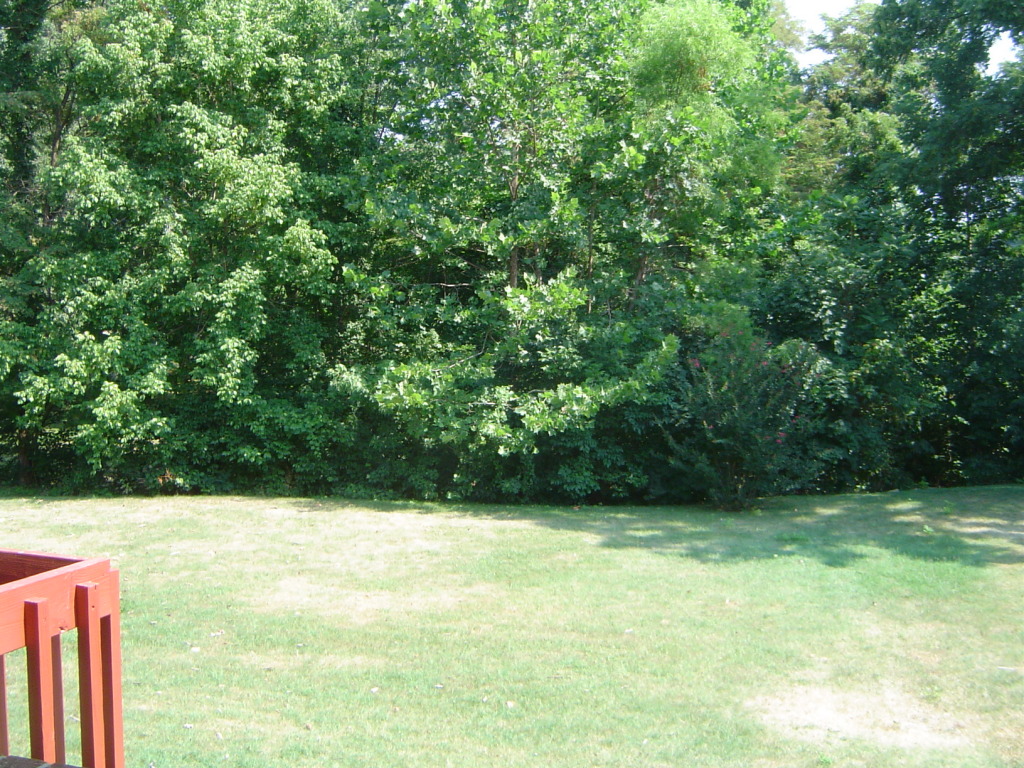 2133 Meadowbrook Road Northwest Roanoke, VA 24017 - Photo 3 of 20 a view of a garden