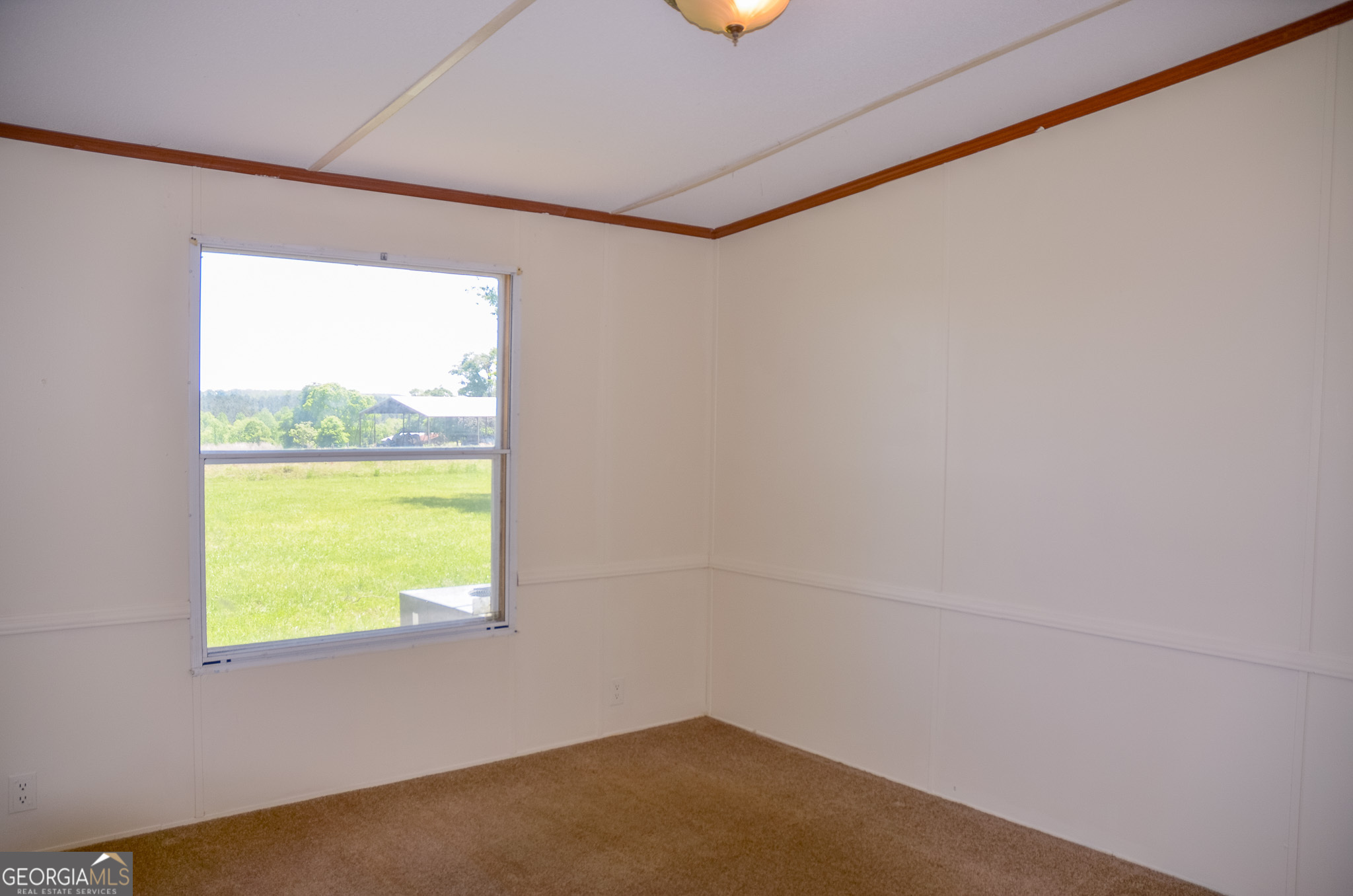 2055 Payne Pond Road Weston, GA 31832 - Photo 12 of 20