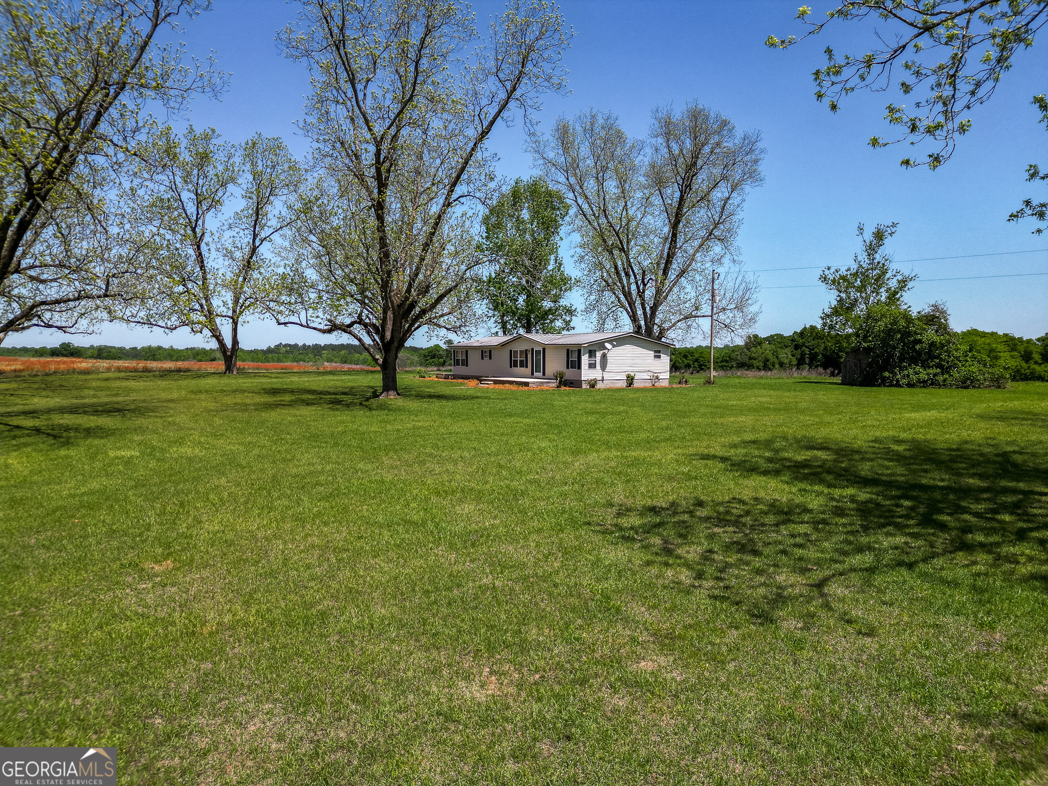 2055 Payne Pond Road Weston, GA 31832 - Photo 14 of 20 a view of a field with large trees
