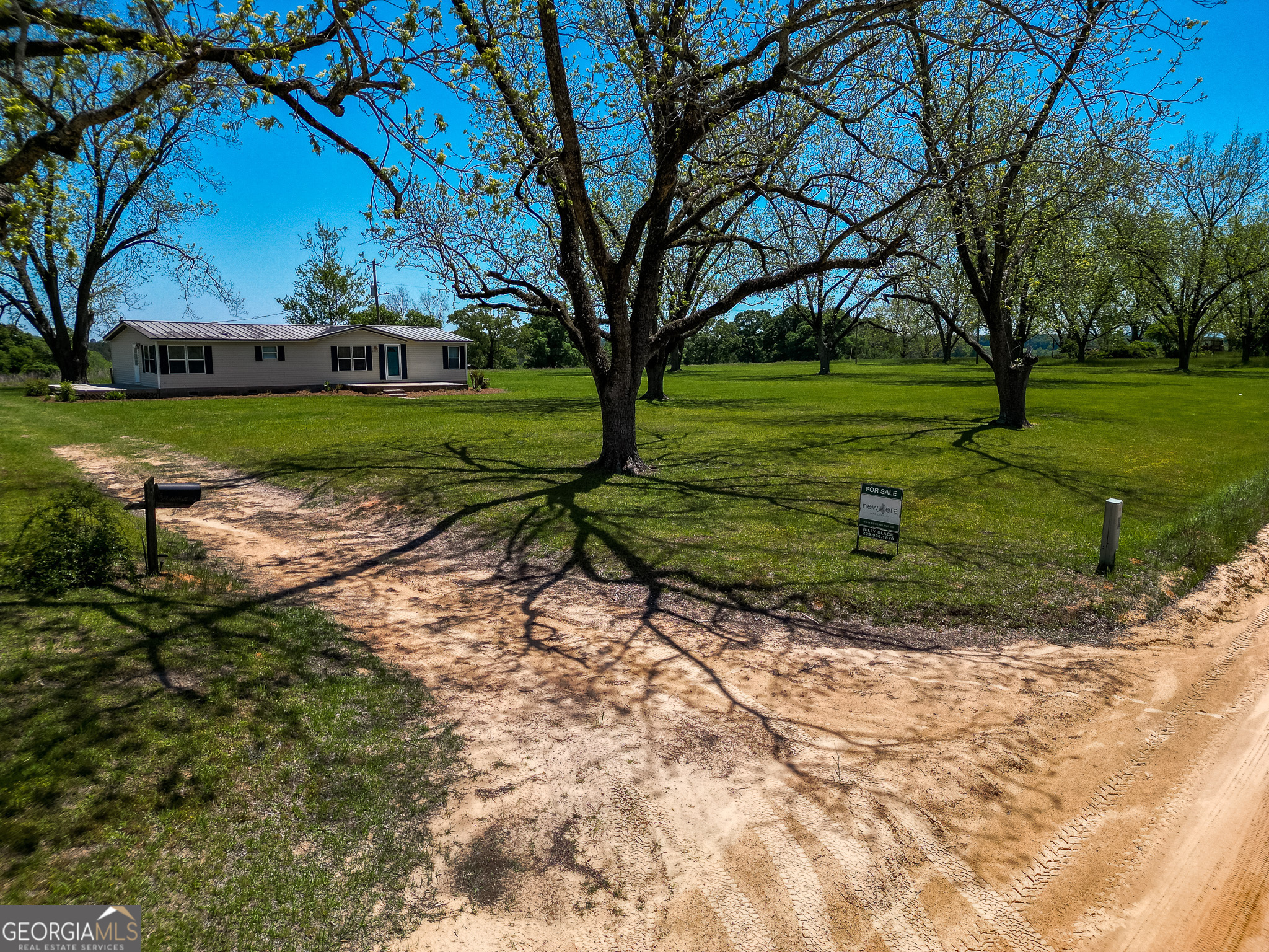 2055 Payne Pond Road Weston, GA 31832 - Photo 15 of 20 a view of a park with large trees