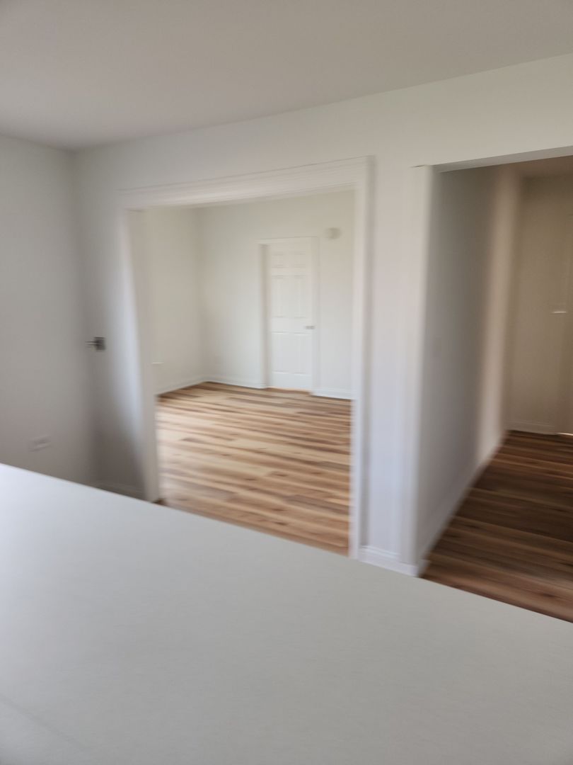 264 North Jackson Street, Unit 1 Elgin, IL 60123 - Photo 27 of 29