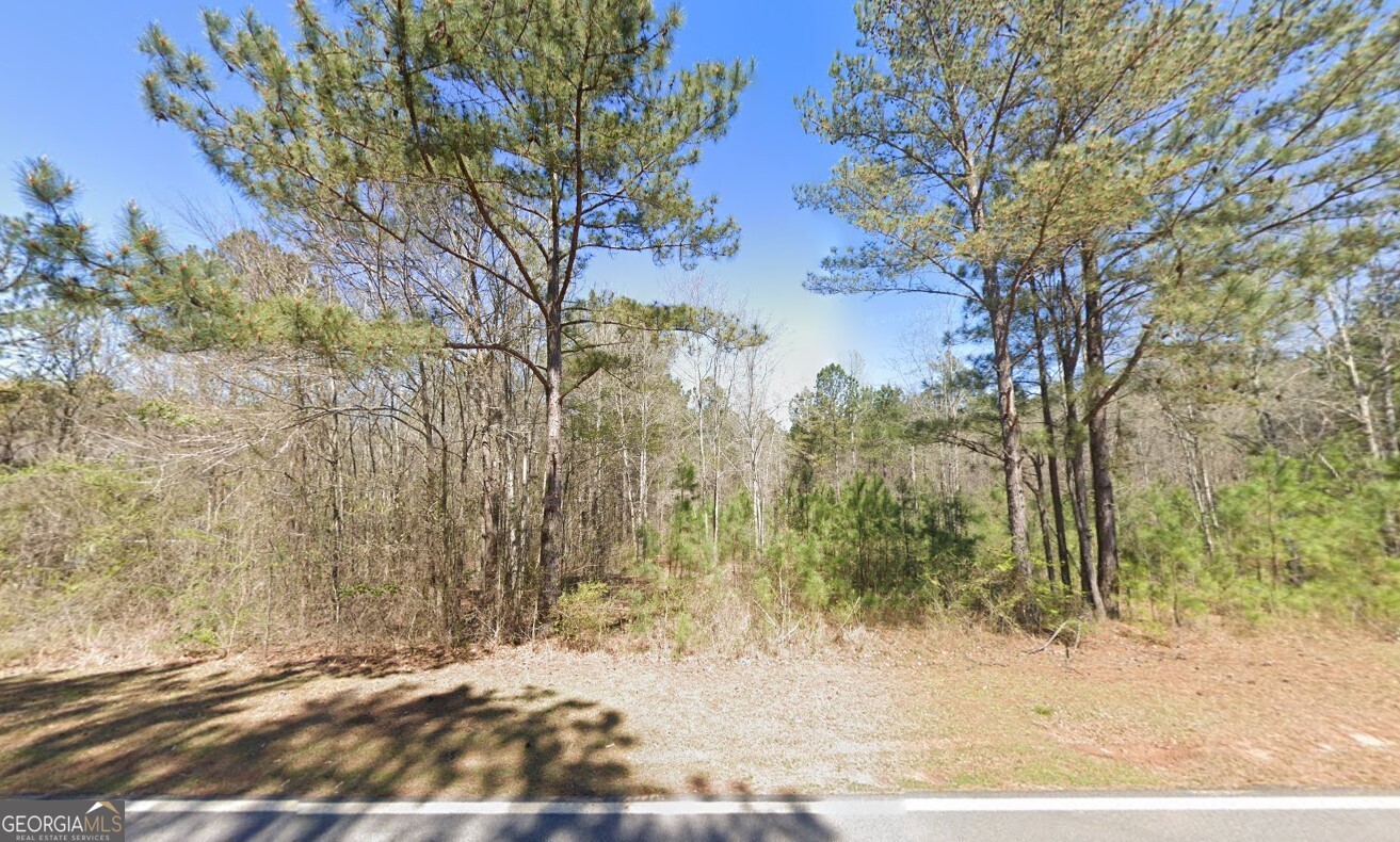 581 Leonard Road LaGrange, GA 30241 - Photo 2 of 6 a view of a yard with large trees