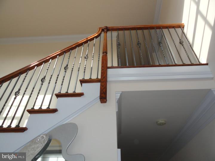 1693 Silver Birch Road Huntingdon Valley, PA 19006 - Photo 5 of 19 Gallery Image 5
