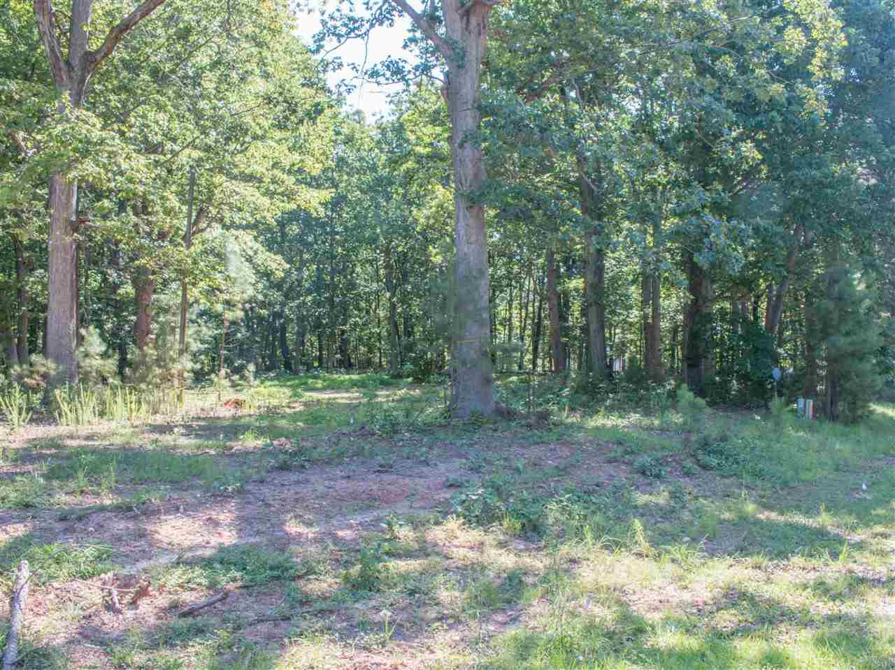 12332 Old Creedmoor Road Raleigh, NC 27613 - Photo 9 of 13 Photo 9