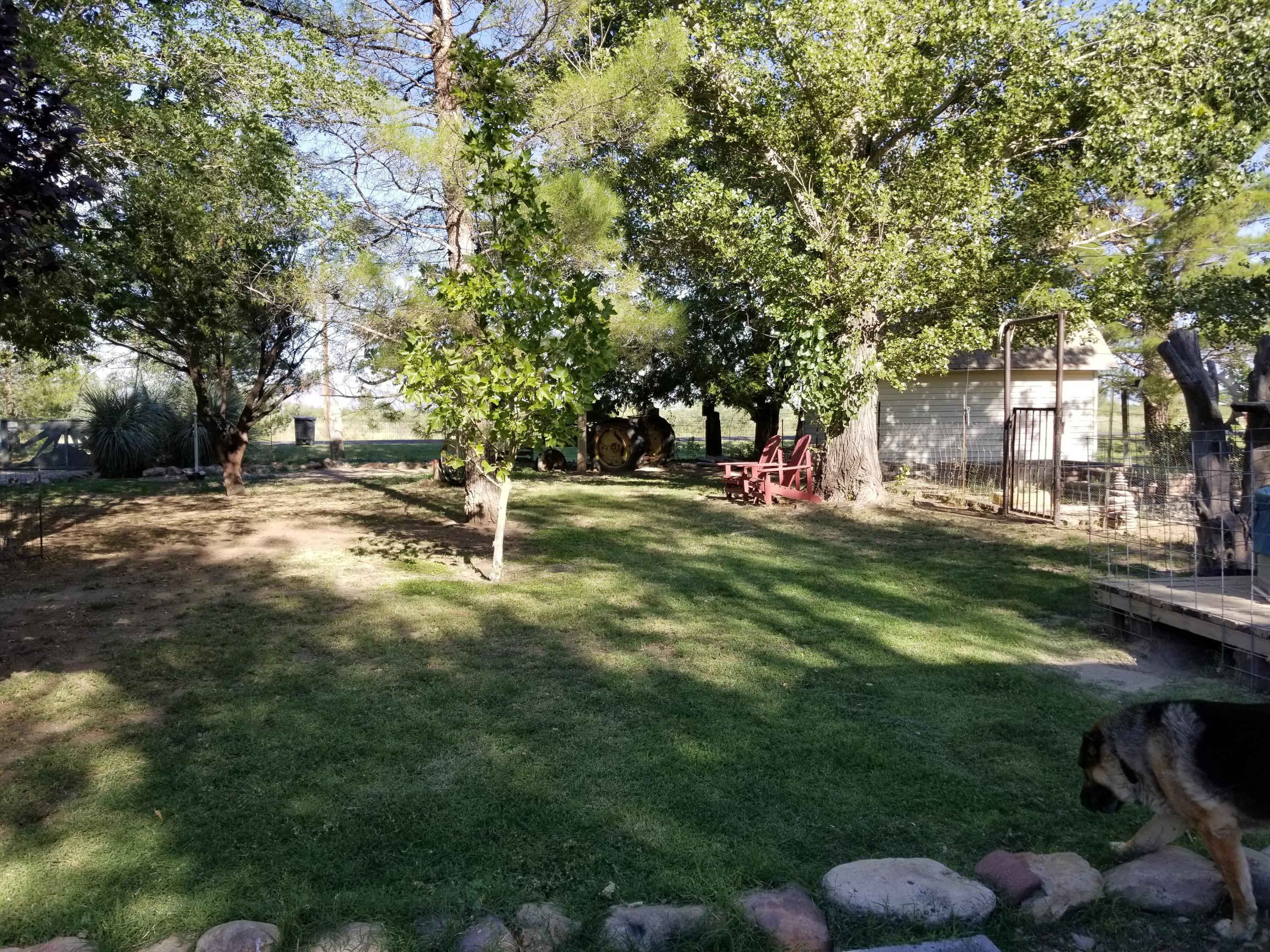 271 North Taylor Road Willcox, AZ 85643 - Photo 38 of 50