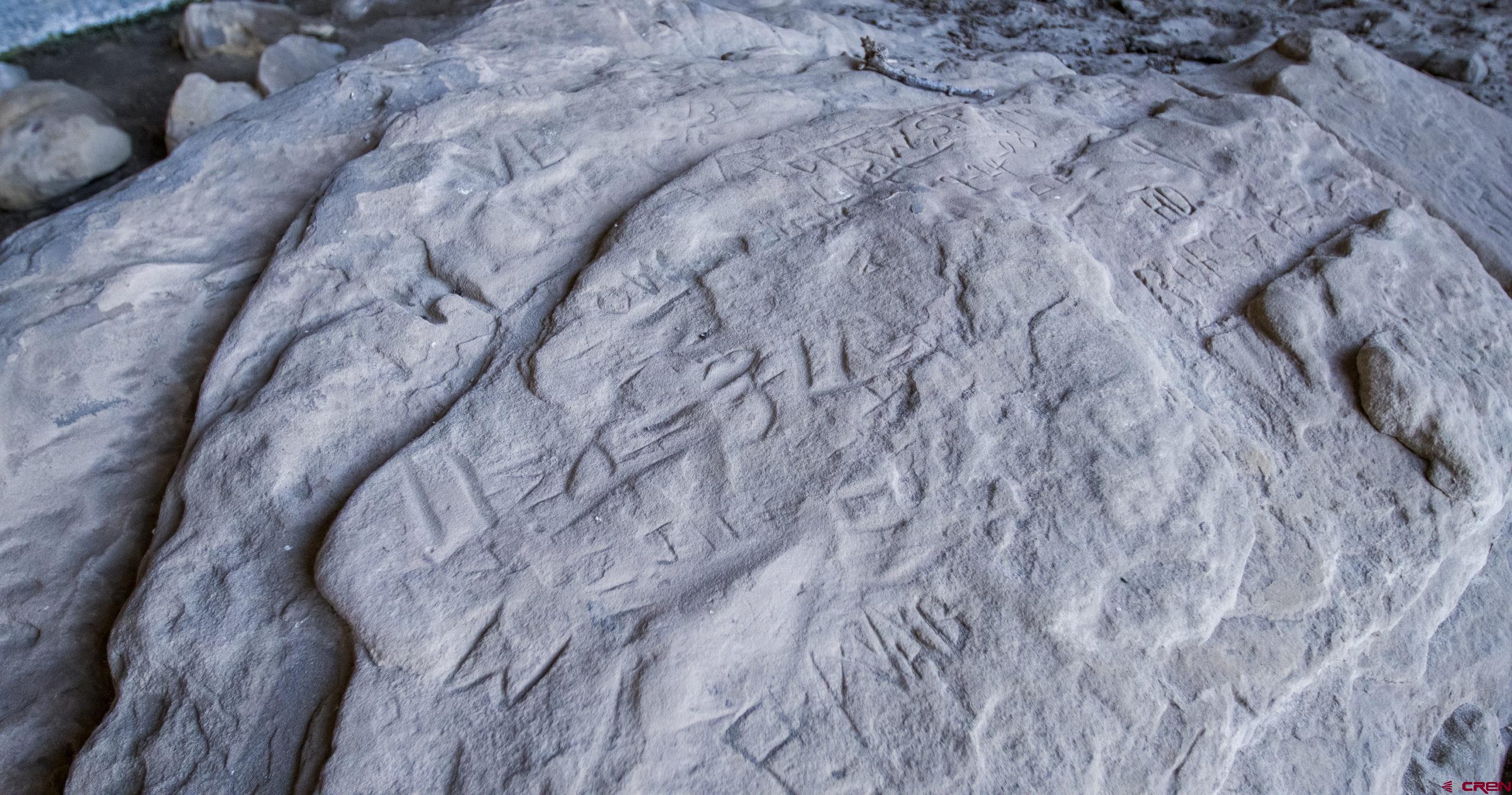 0 County Road 40.2, Unit POITRY CANYON RANCH Branson, CO 81027 - Photo 11 of 45 a close view of backyard with a wooden fence