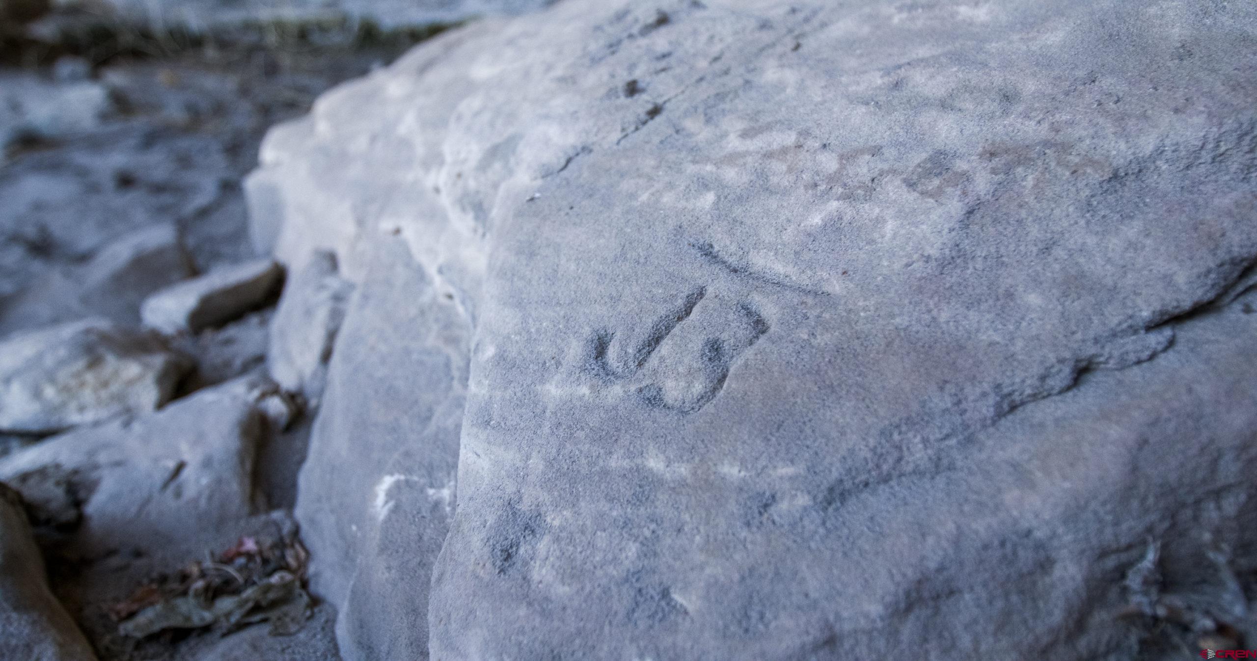 0 County Road 40.2, Unit POITRY CANYON RANCH Branson, CO 81027 - Photo 12 of 45 a close view of shower tap