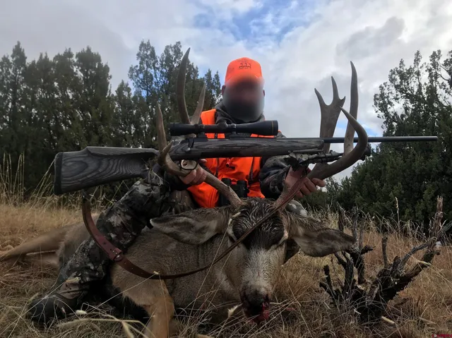 a view of a houses with a yard