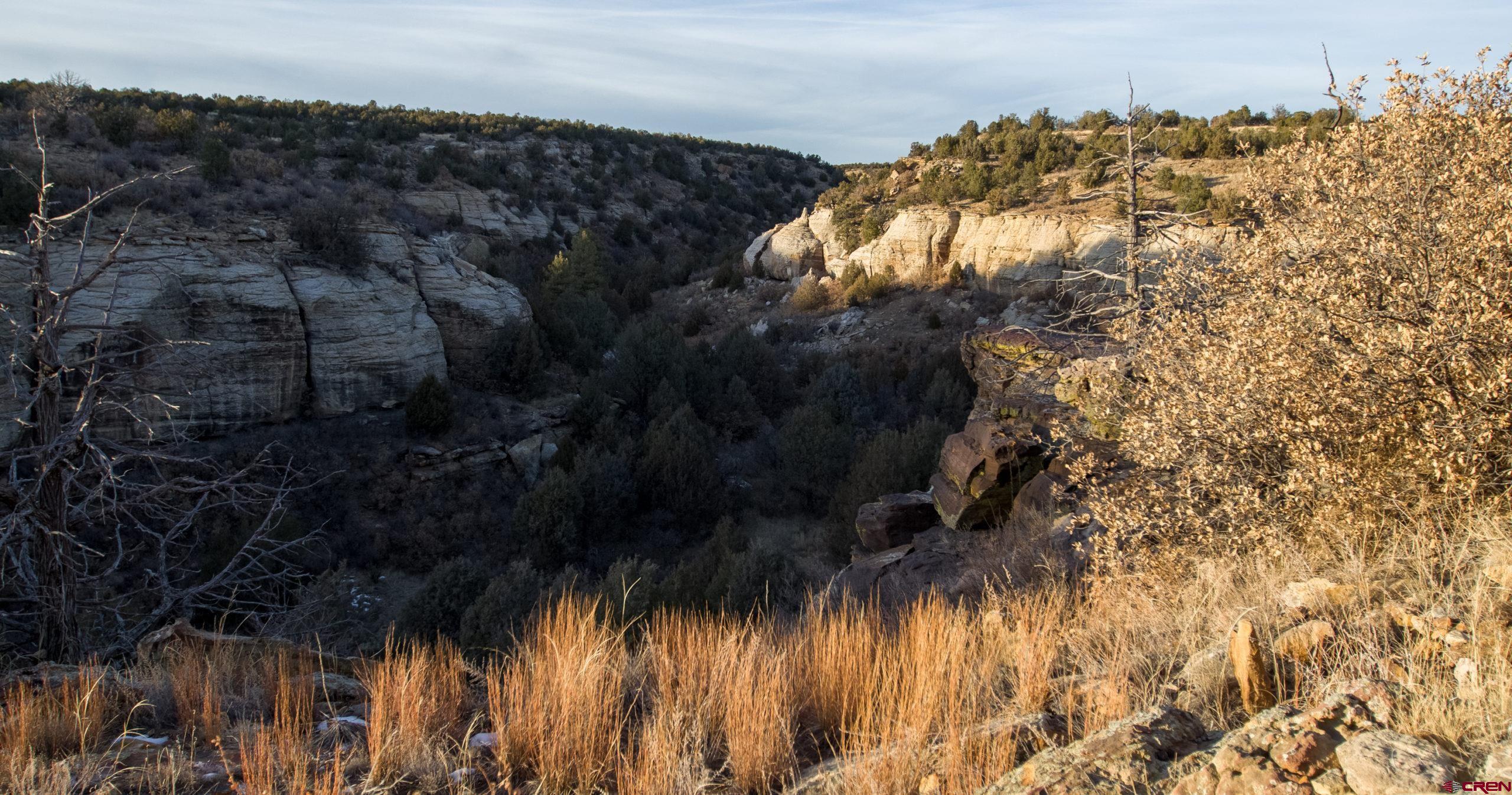 0 County Road 40.2, Unit POITRY CANYON RANCH Branson, CO 81027 - Photo 14 of 45