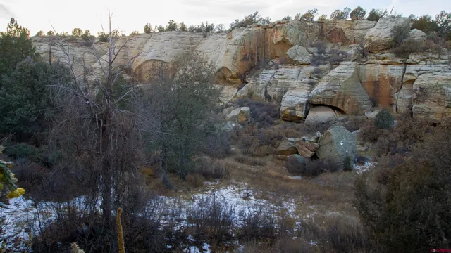 a view of a yard with an outdoor space