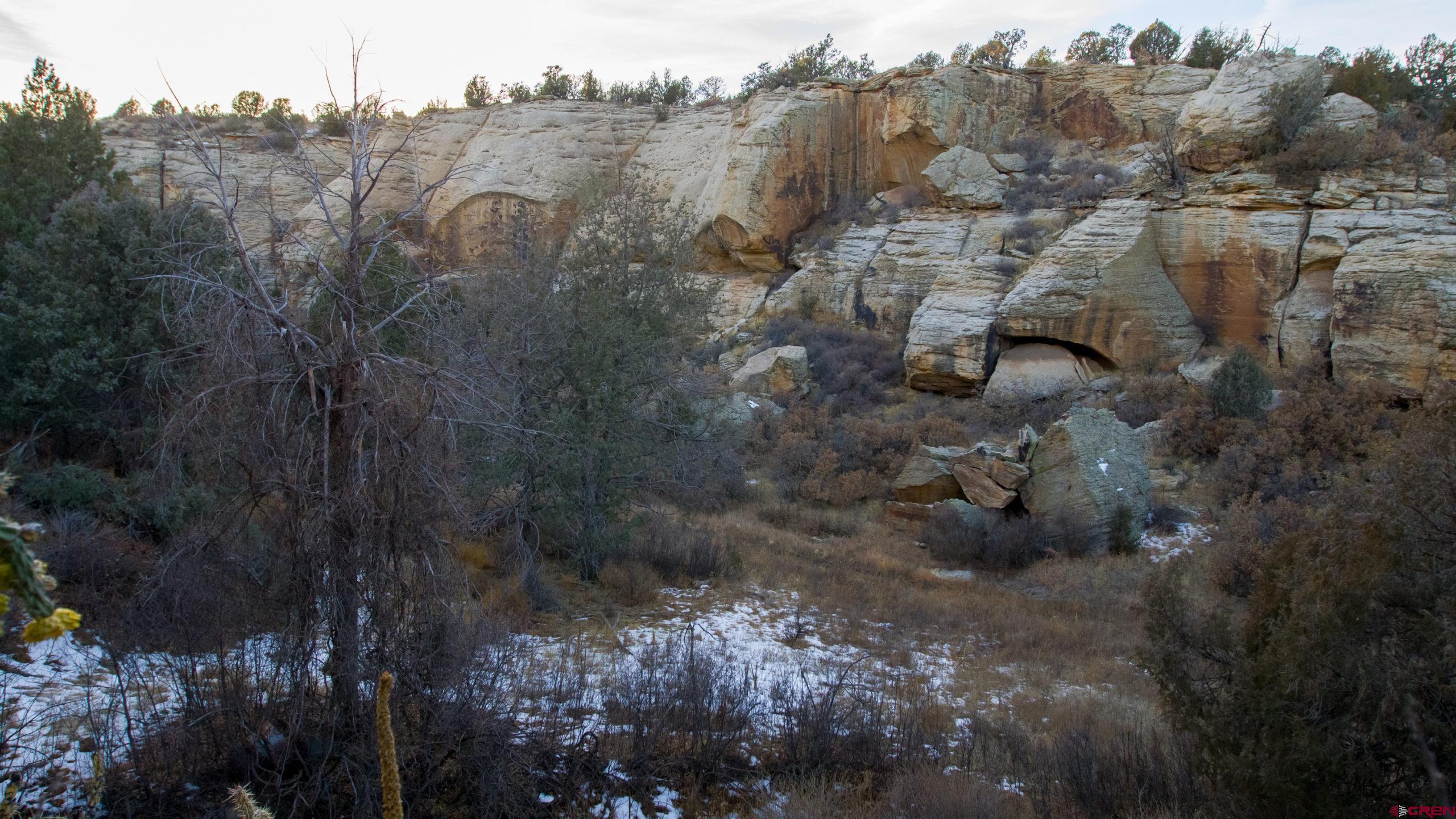 0 County Road 40.2, Unit POITRY CANYON RANCH Branson, CO 81027 - Photo 14 of 45 a view of a houses with a yard