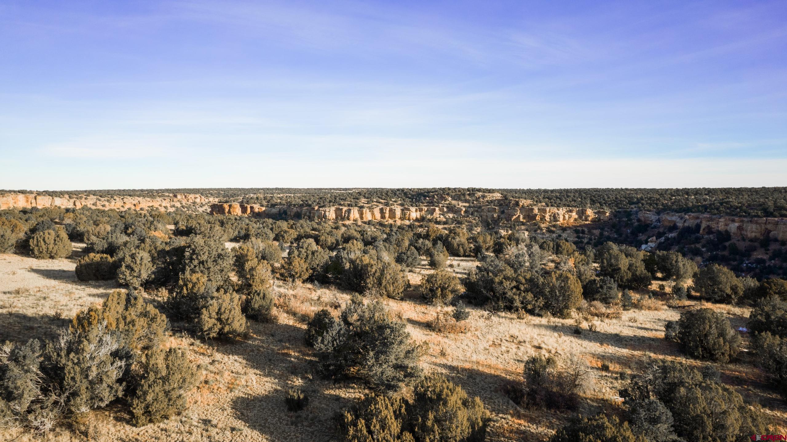 0 County Road 40.2, Unit POITRY CANYON RANCH Branson, CO 81027 - Photo 18 of 45