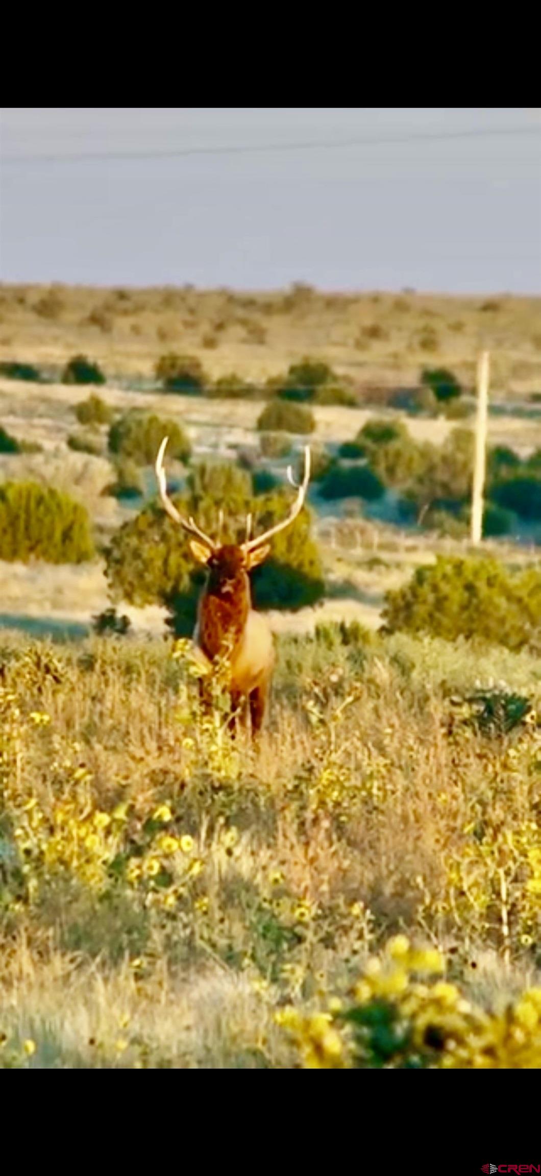 0 County Road 40.2, Unit POITRY CANYON RANCH Branson, CO 81027 - Photo 20 of 45 a view of an ocean