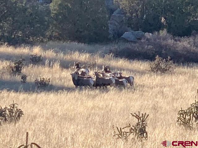 0 County Road 40.2, Unit POITRY CANYON RANCH Branson, CO 81027 - Photo 2 of 45 a lake view with boat and tall trees