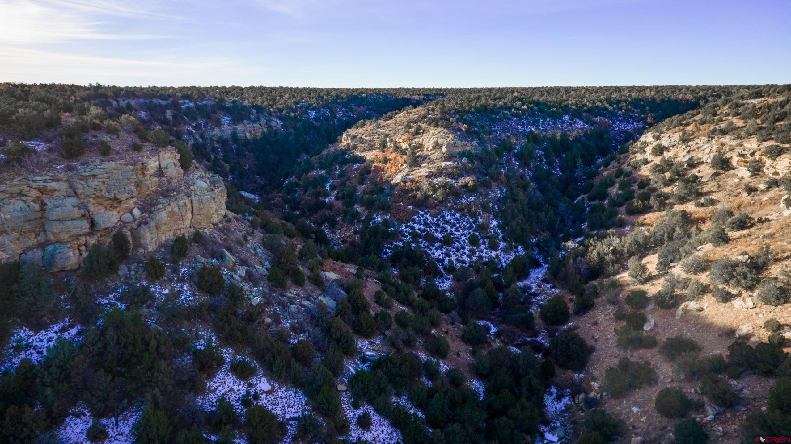 0 County Road 40.2, Unit POITRY CANYON RANCH Branson, CO 81027 - Photo 22 of 45