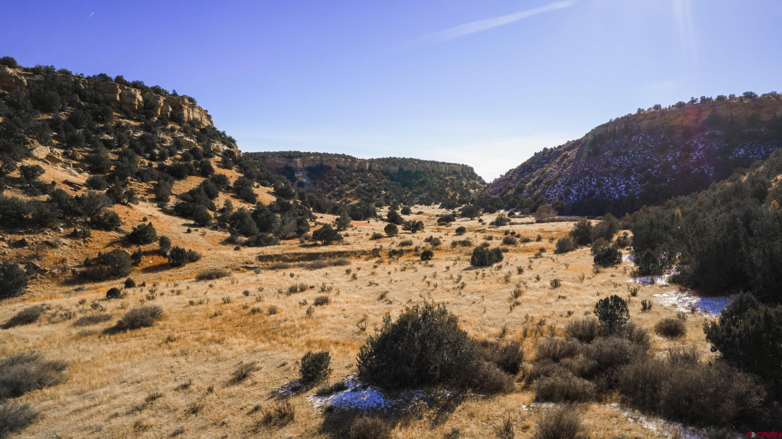 0 County Road 40.2, Unit POITRY CANYON RANCH Branson, CO 81027 - Photo 24 of 45 a view of a yard with mountain and mountains in the background