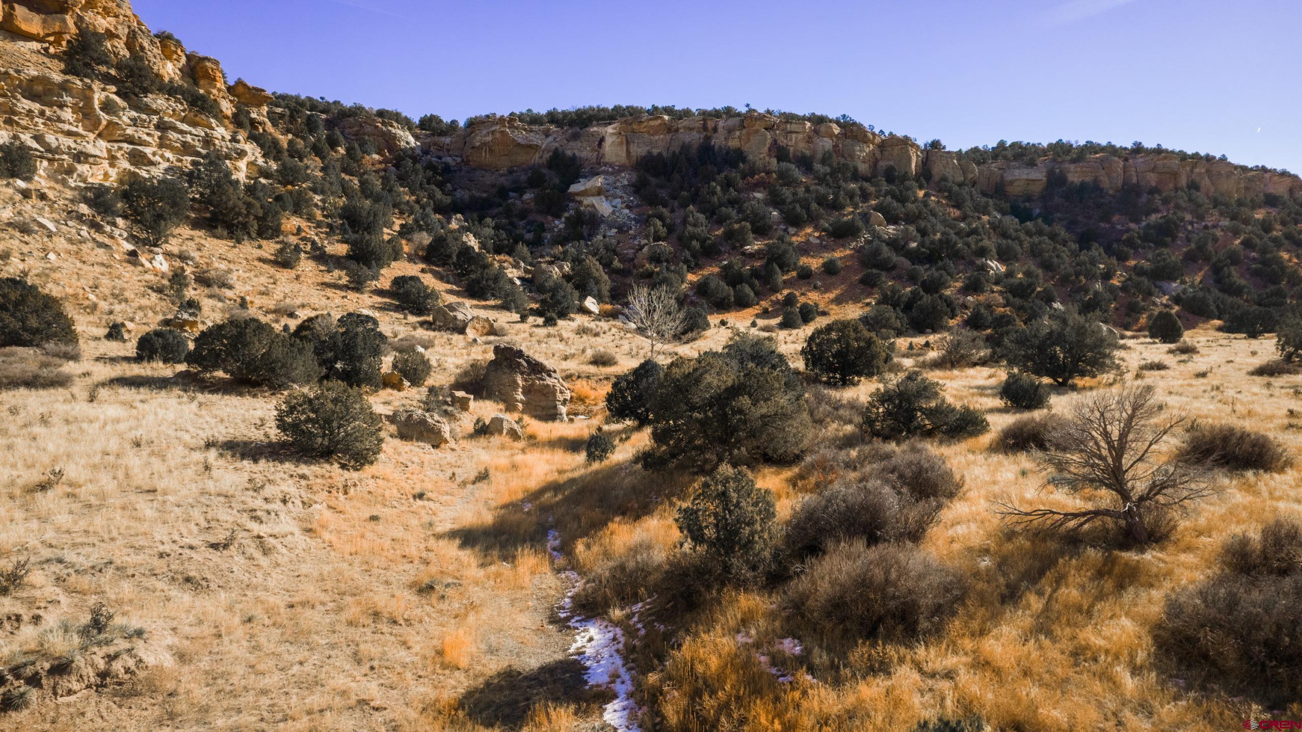 0 County Road 40.2, Unit POITRY CANYON RANCH Branson, CO 81027 - Photo 25 of 45
