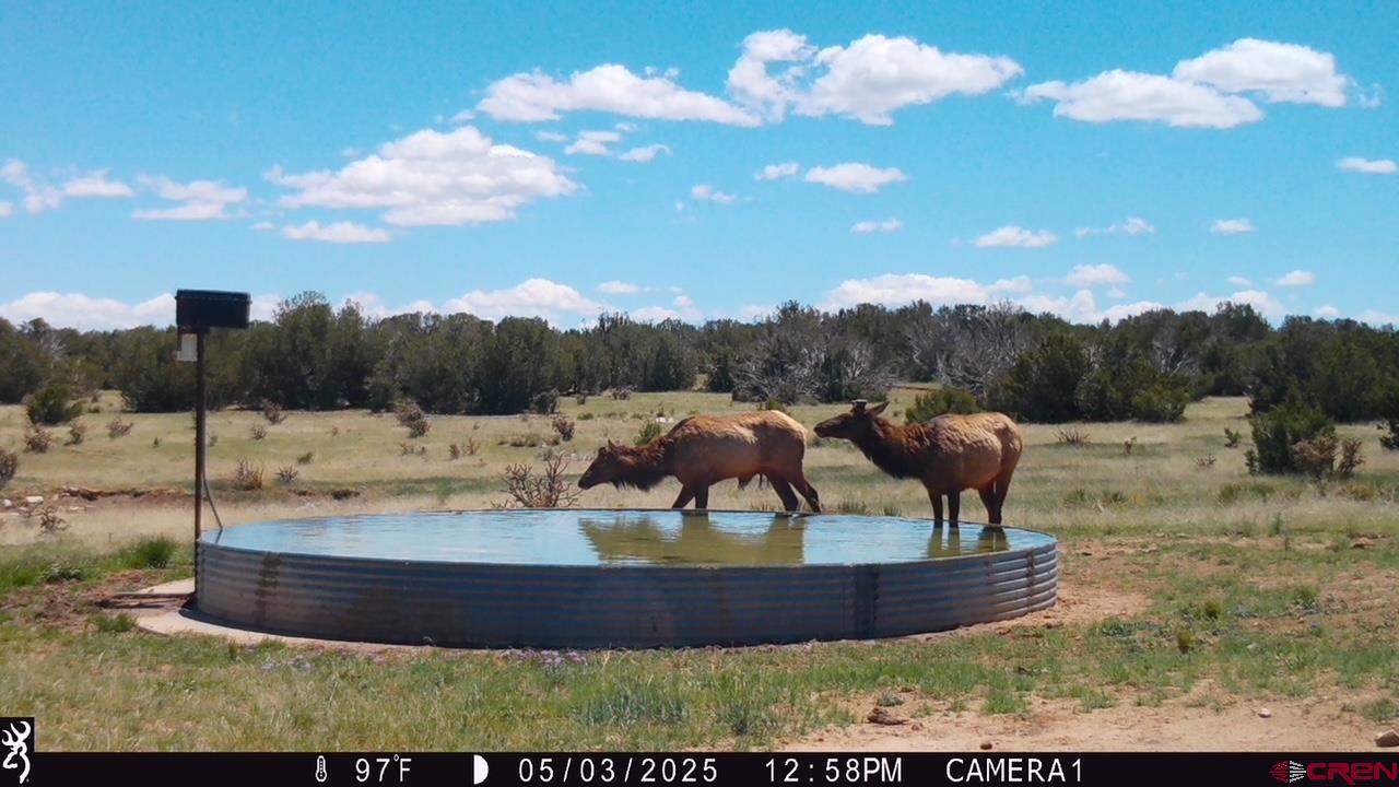 0 County Road 40.2, Unit POITRY CANYON RANCH Branson, CO 81027 - Photo 27 of 45 a view of a yard with a fountain