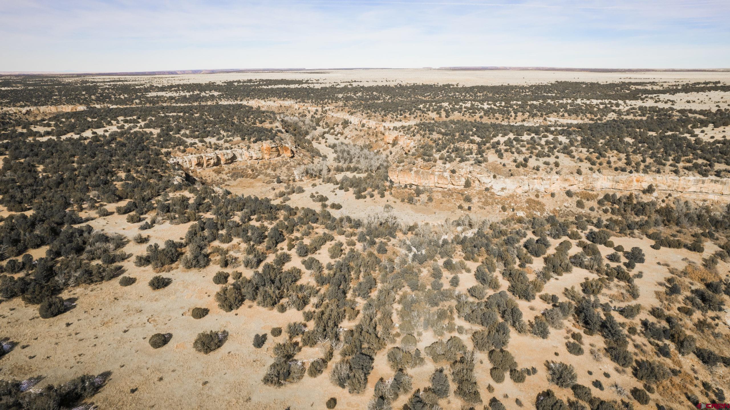 0 County Road 40.2, Unit POITRY CANYON RANCH Branson, CO 81027 - Photo 29 of 45 an aerial view of residential houses with outdoor space