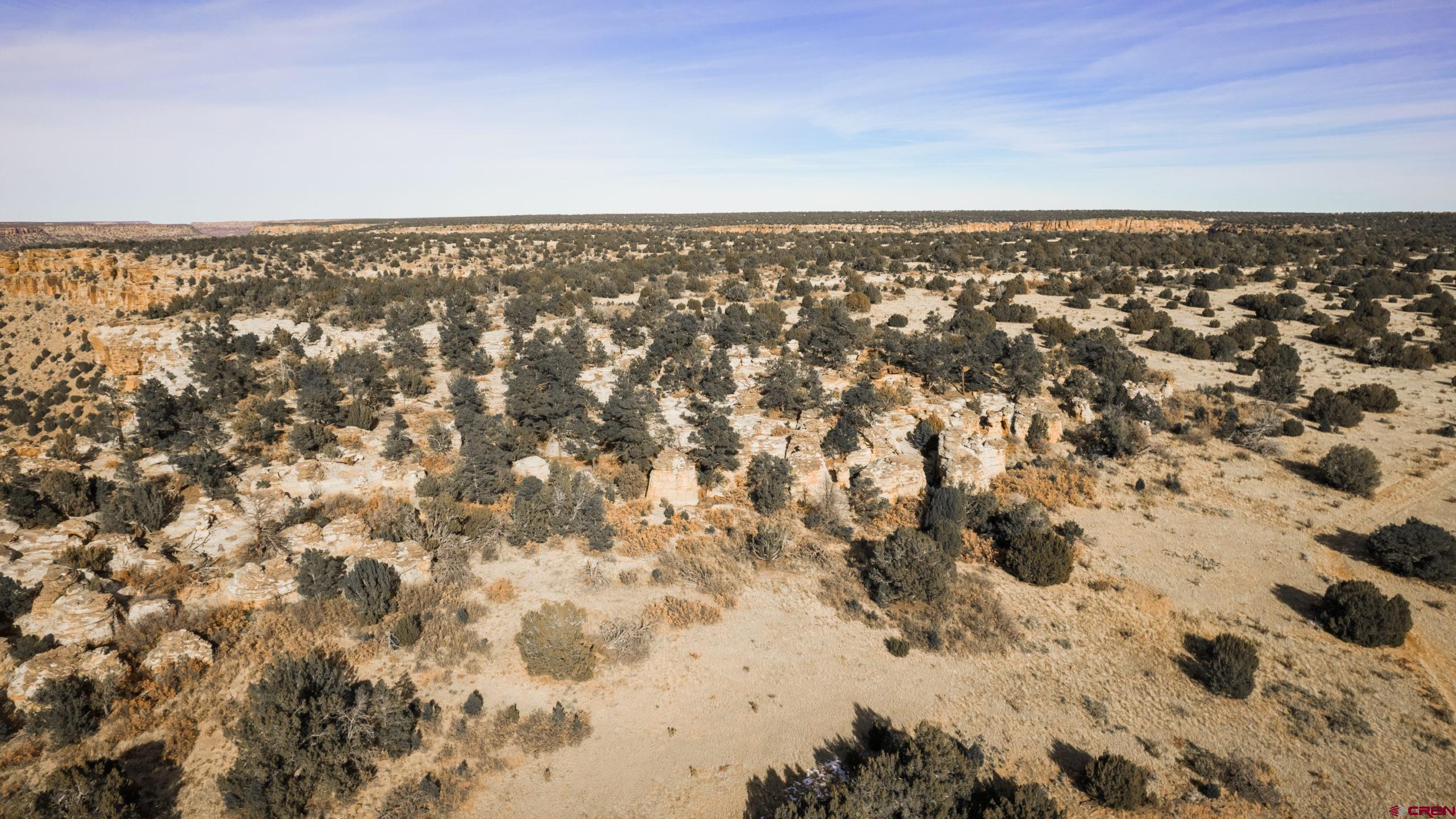0 County Road 40.2, Unit POITRY CANYON RANCH Branson, CO 81027 - Photo 30 of 45 an aerial view of residential houses with parking space