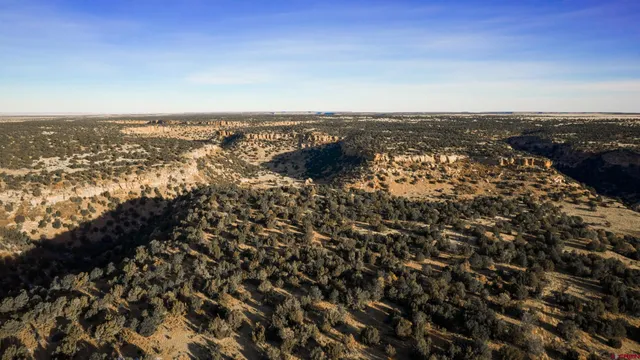 an aerial view of residential building and ocean