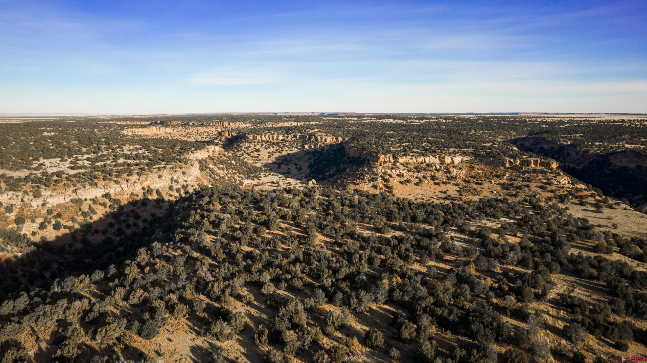 0 County Road 40.2, Unit POITRY CANYON RANCH Branson, CO 81027 - Photo 3 of 45 an aerial view of residential building and ocean