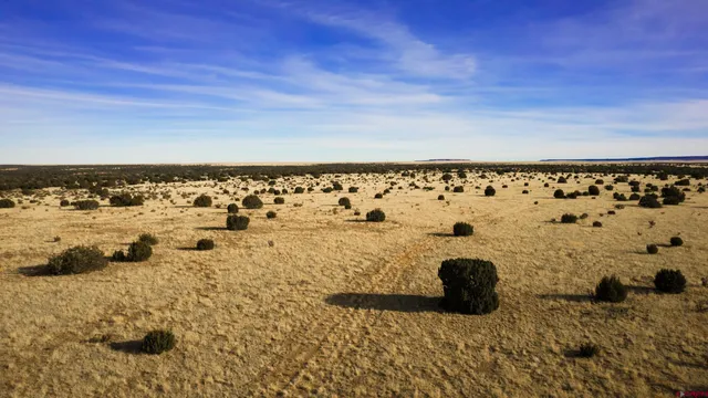 a view of a lake with a mountain