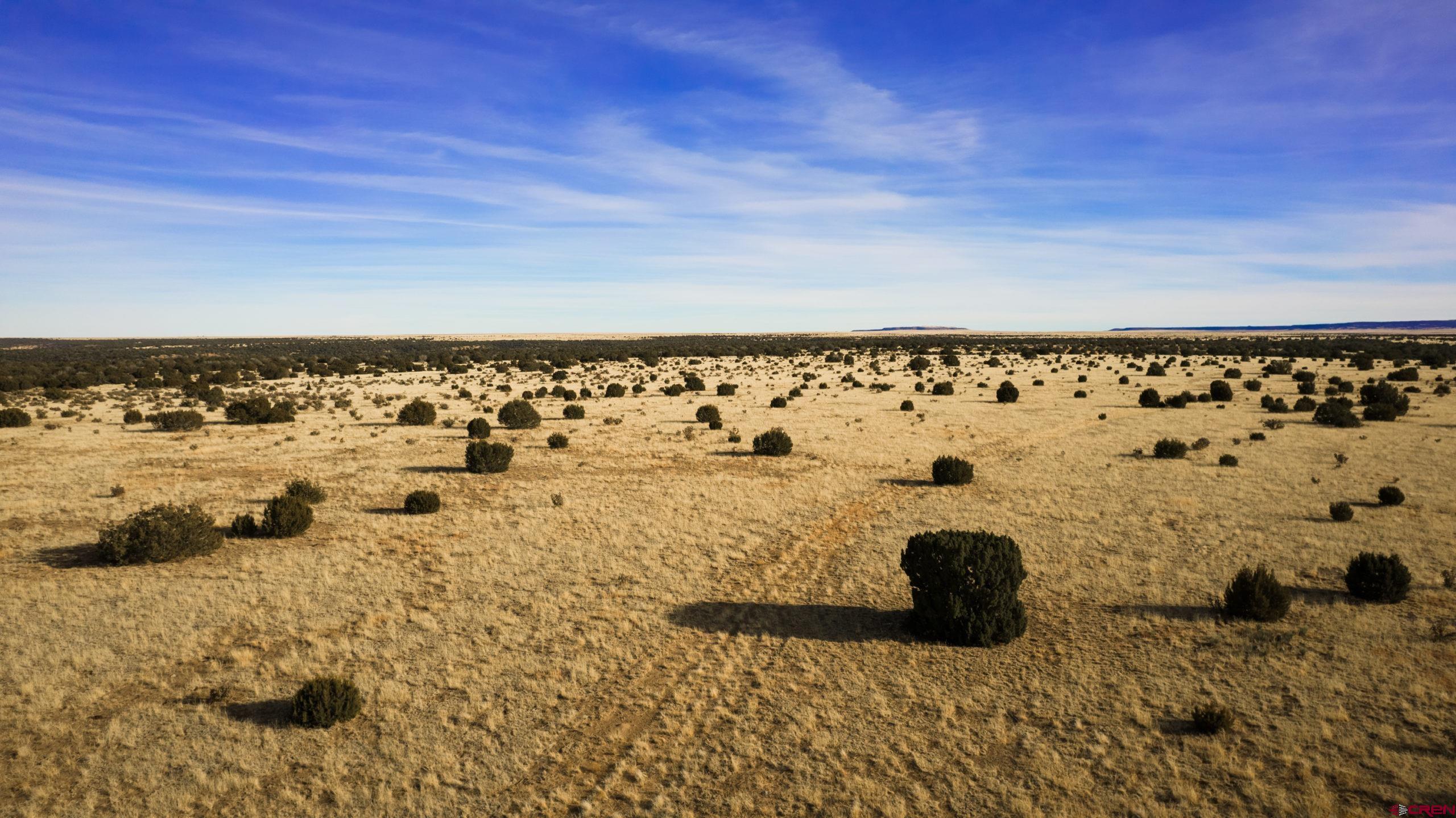 0 County Road 40.2, Unit POITRY CANYON RANCH Branson, CO 81027 - Photo 34 of 45 a view of water view
