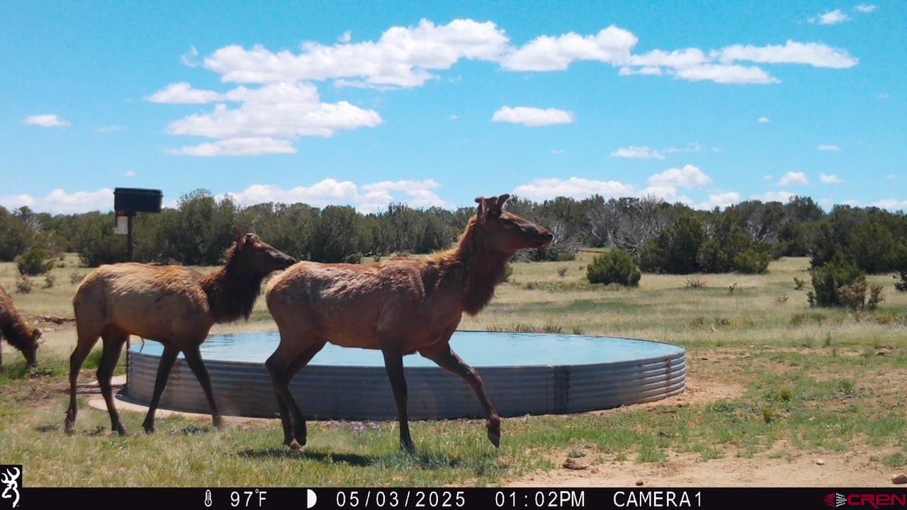 0 County Road 40.2, Unit POITRY CANYON RANCH Branson, CO 81027 - Photo 40 of 45 a view of a yard in front of the house
