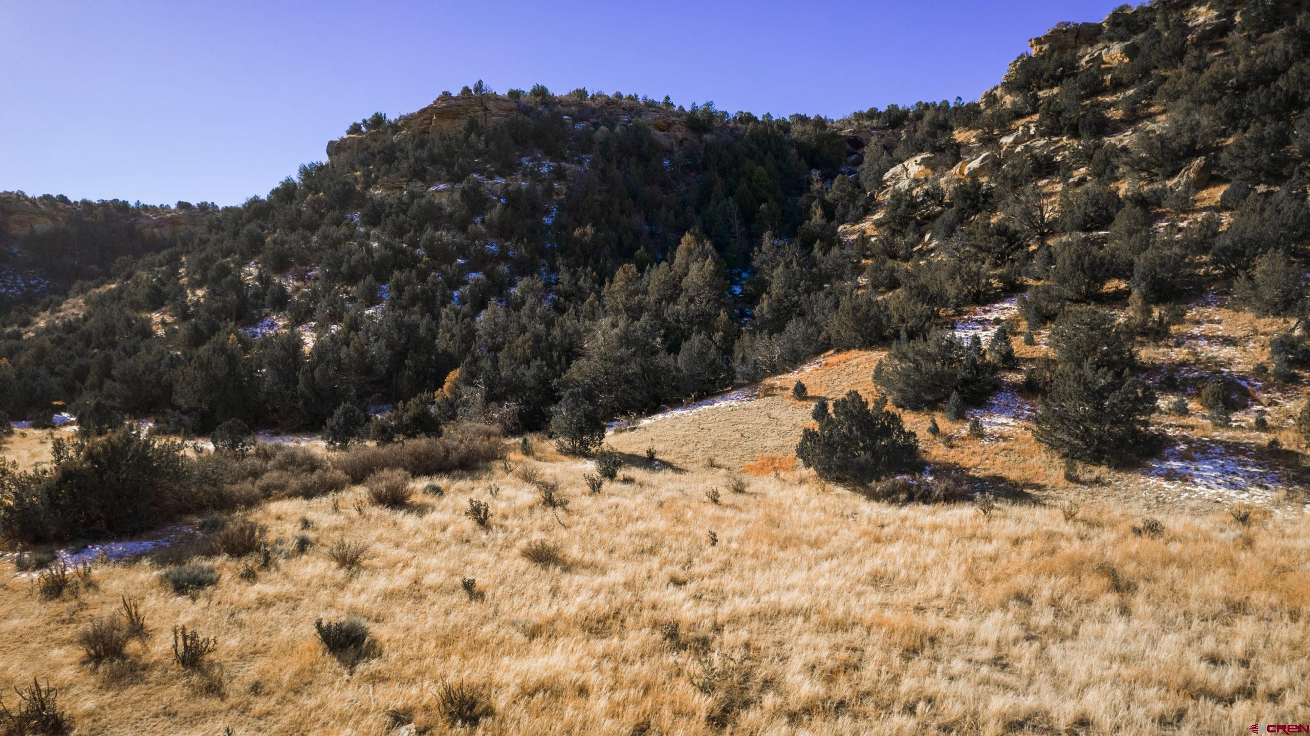 0 County Road 40.2, Unit POITRY CANYON RANCH Branson, CO 81027 - Photo 40 of 45