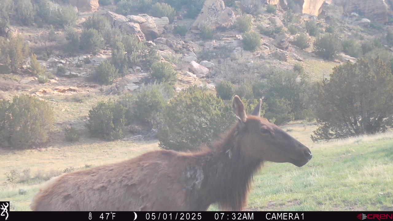 0 County Road 40.2, Unit POITRY CANYON RANCH Branson, CO 81027 - Photo 42 of 45 a view of outdoor space and garden
