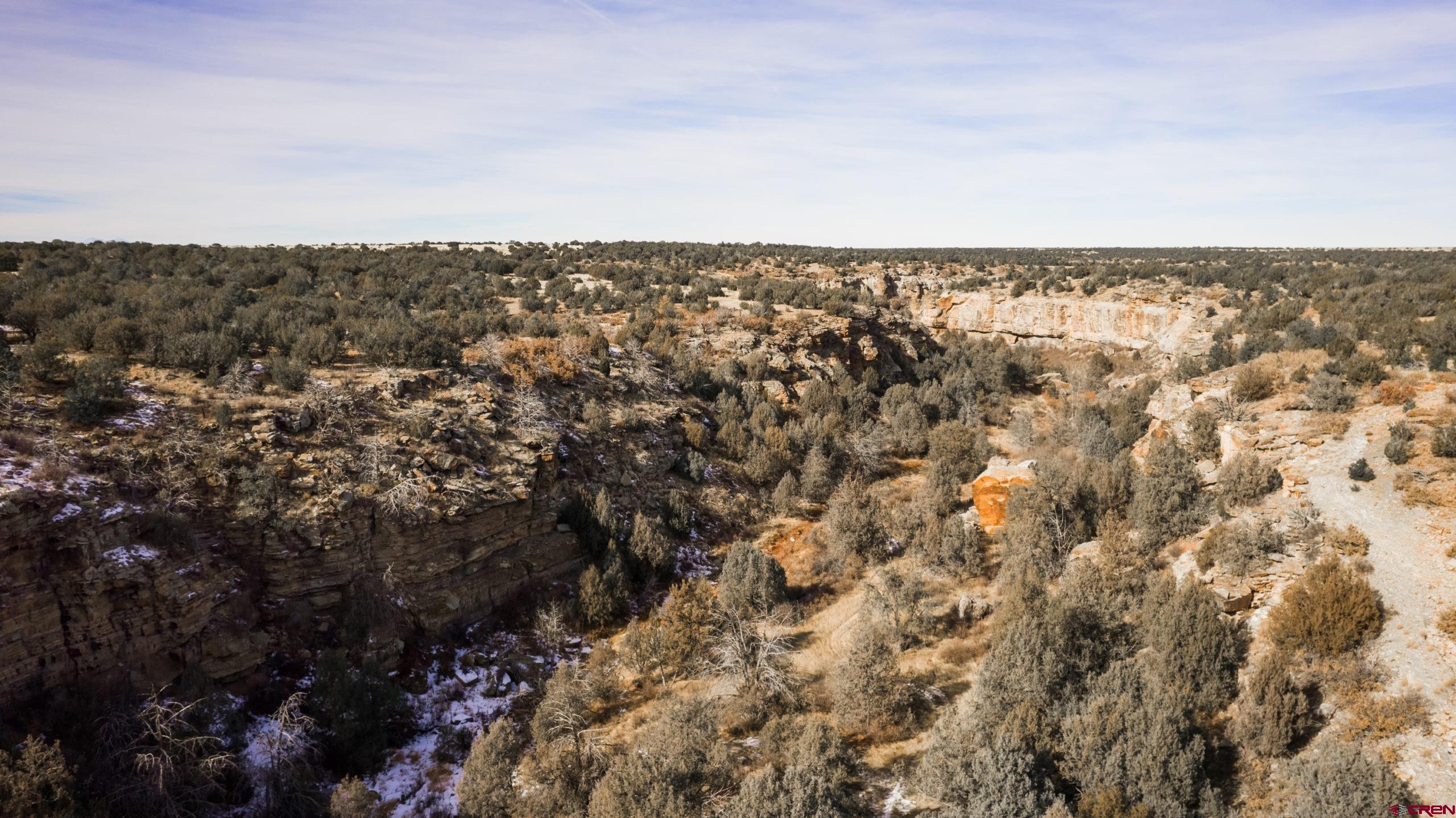 0 County Road 40.2, Unit POITRY CANYON RANCH Branson, CO 81027 - Photo 43 of 45