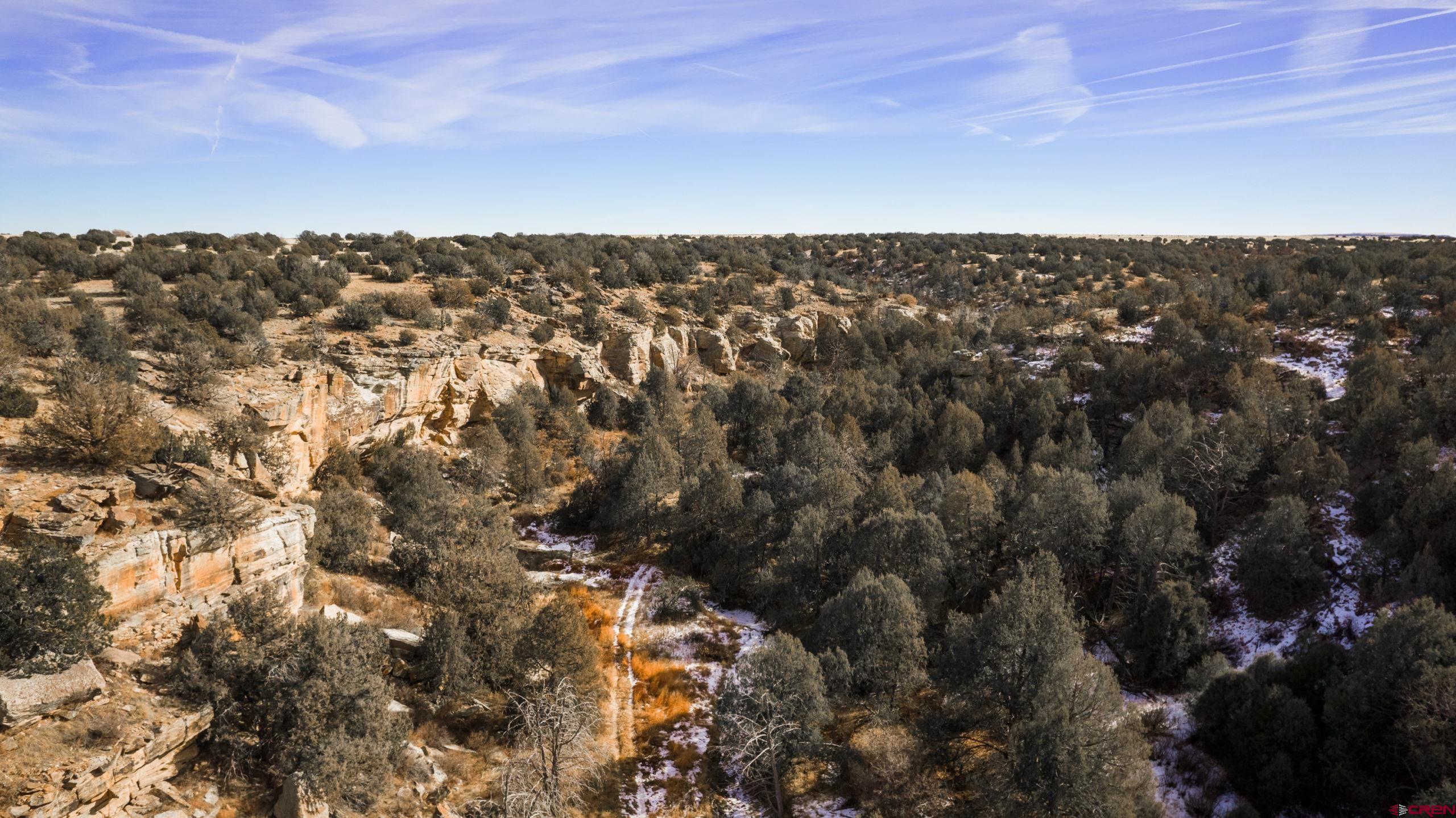 0 County Road 40.2, Unit POITRY CANYON RANCH Branson, CO 81027 - Photo 44 of 45