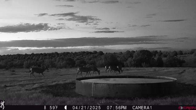 $7,545,265 | 0 County Road 40.2, Unit POITRY CANYON RANCH, Branson, CO 81027