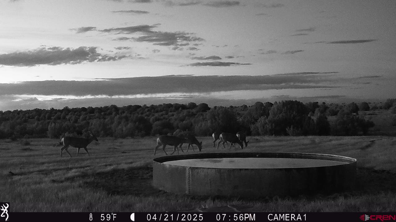 0 County Road 40.2, Unit POITRY CANYON RANCH Branson, CO 81027 - Photo 44 of 45 a view of a lake with a mountain