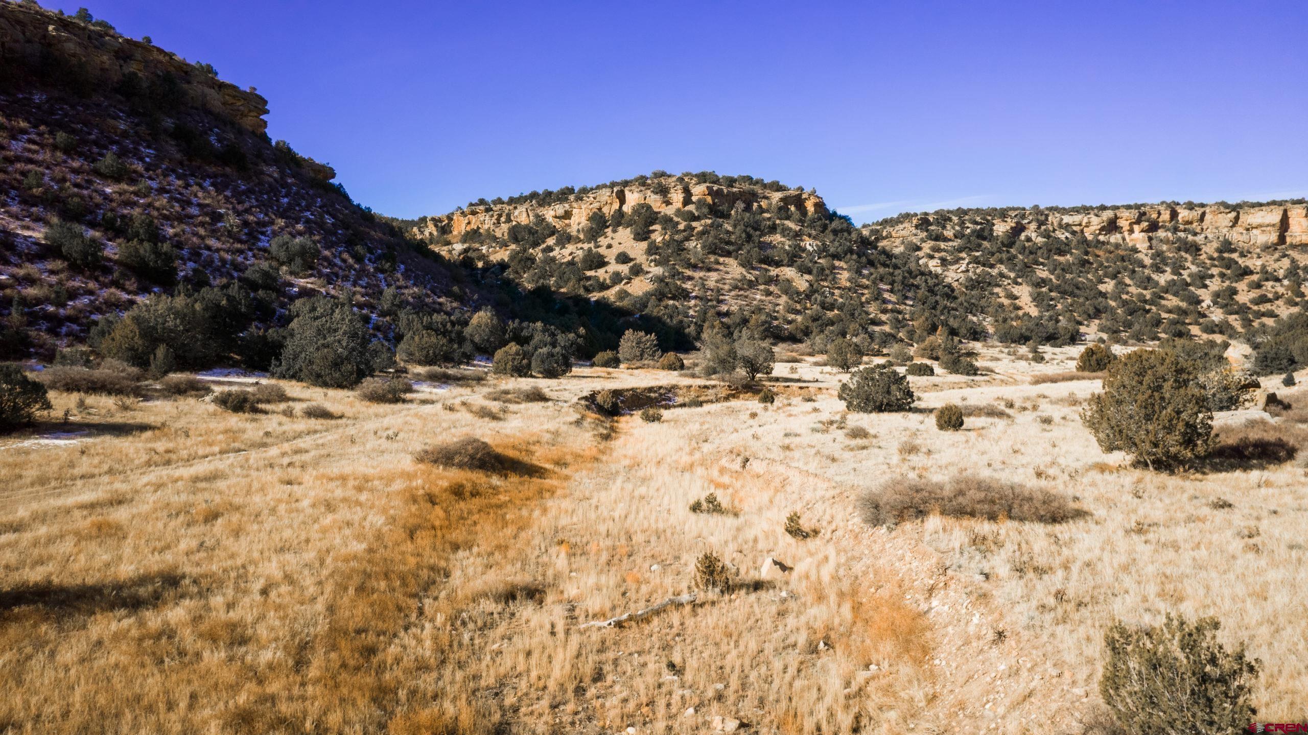 0 County Road 40.2, Unit POITRY CANYON RANCH Branson, CO 81027 - Photo 5 of 45 a view of a snow with a yard