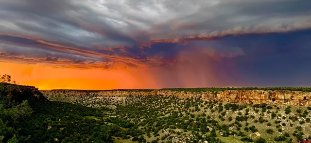 a view of a multi story yard